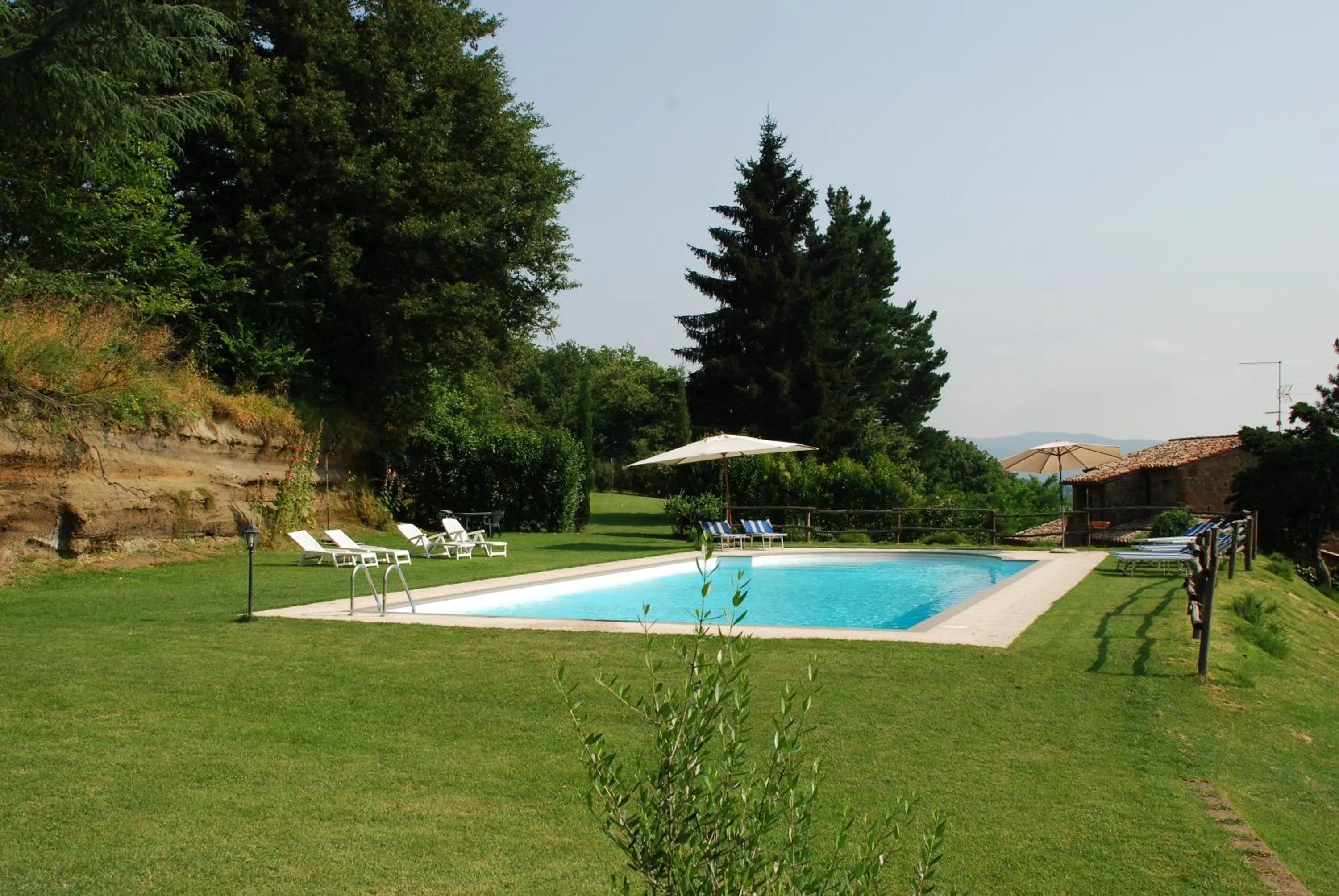 Swimming pool in Il Sentiero