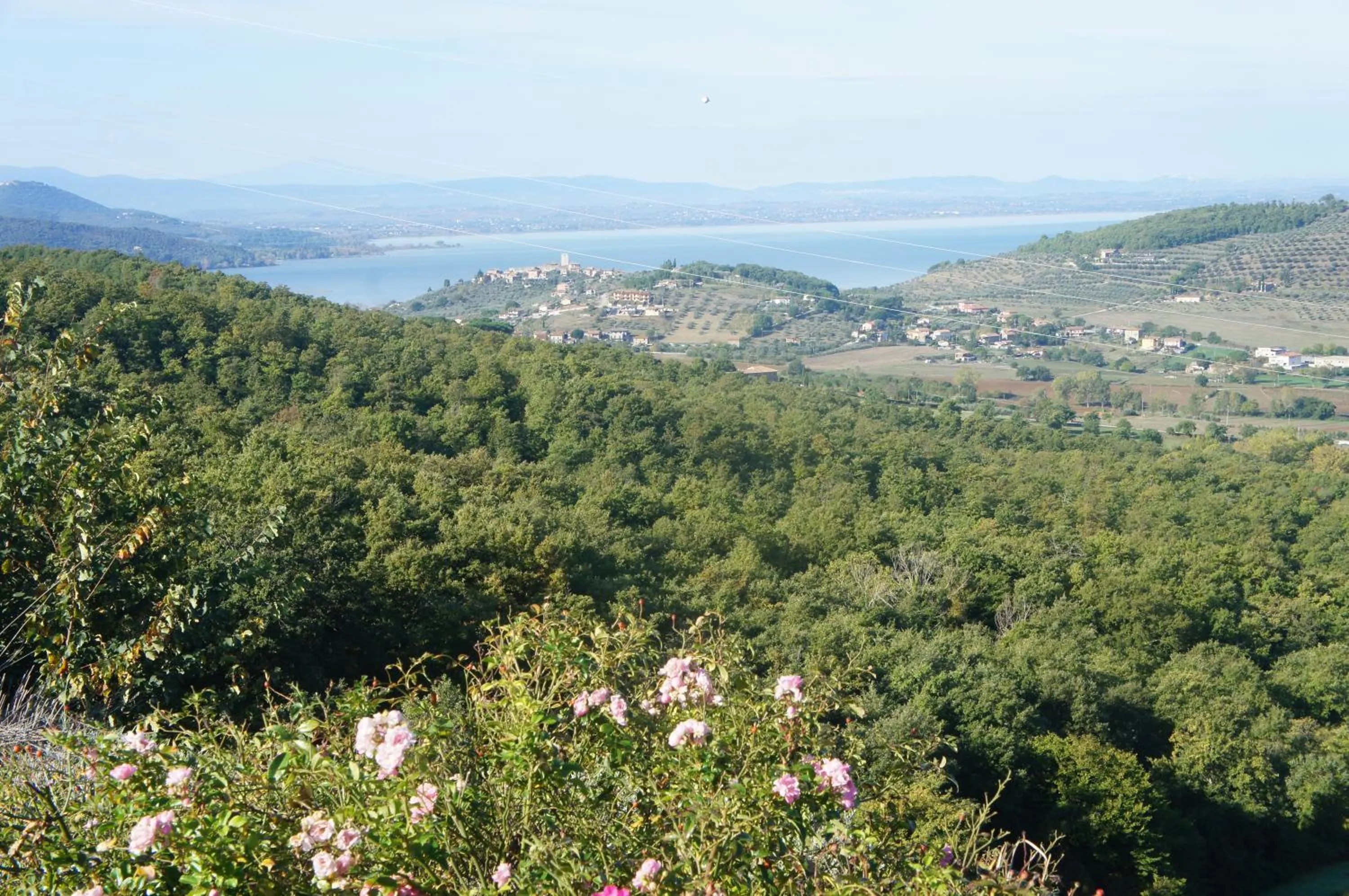 Natural landscape in EcoResort Il Cantico della Natura