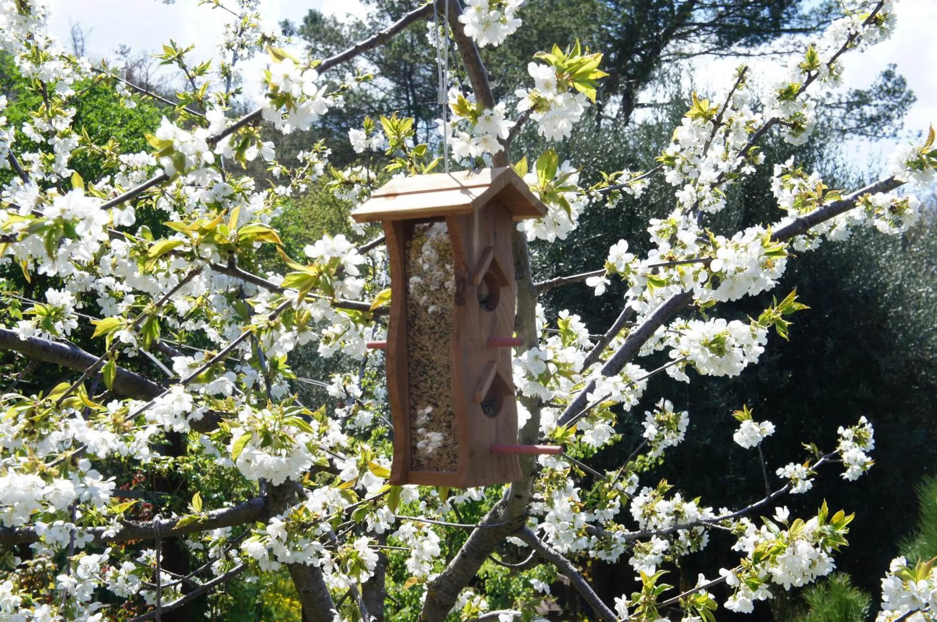 Garden in EcoResort Il Cantico della Natura