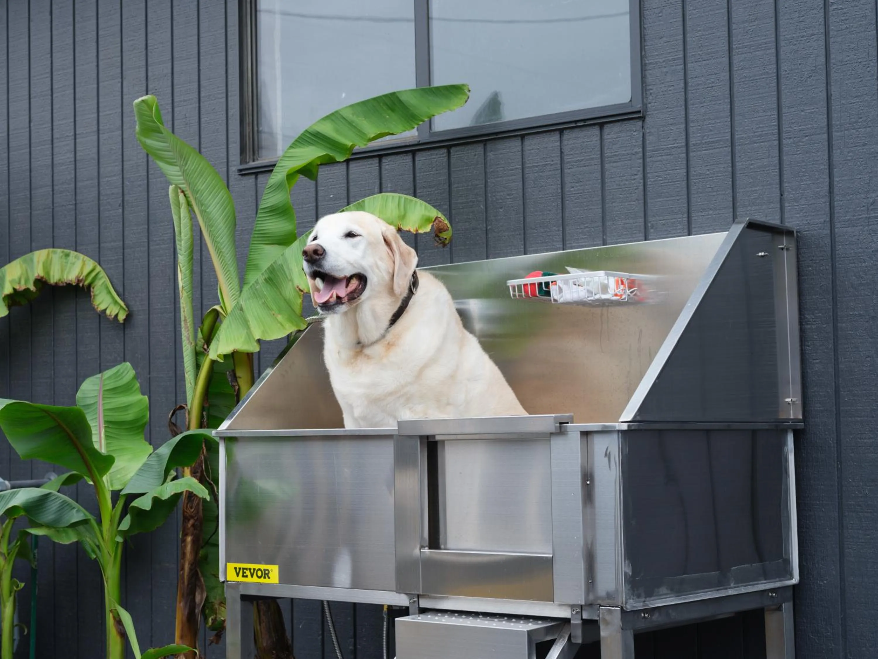 Animals in Motolodge