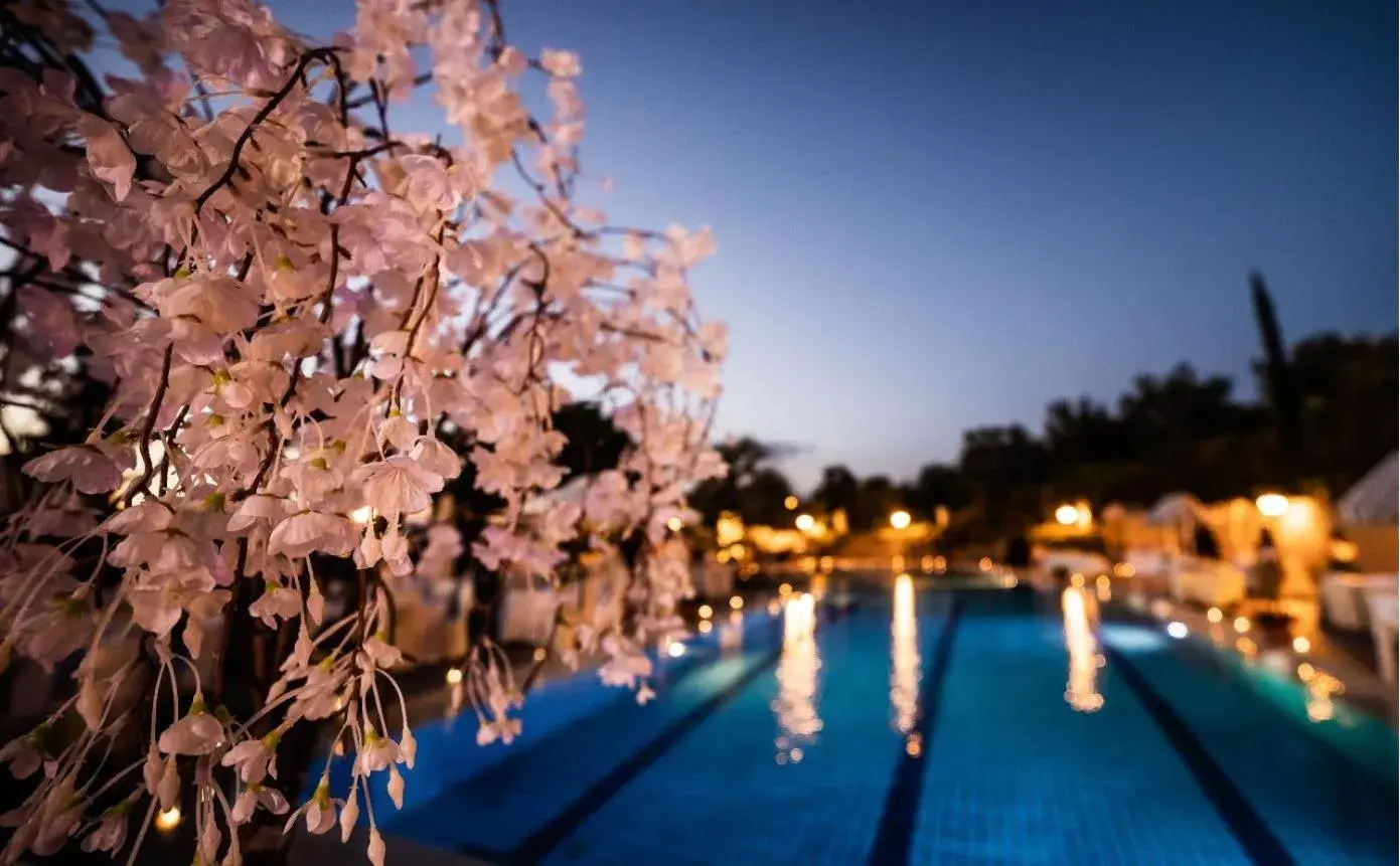 Swimming Pool in Hotel Pomara