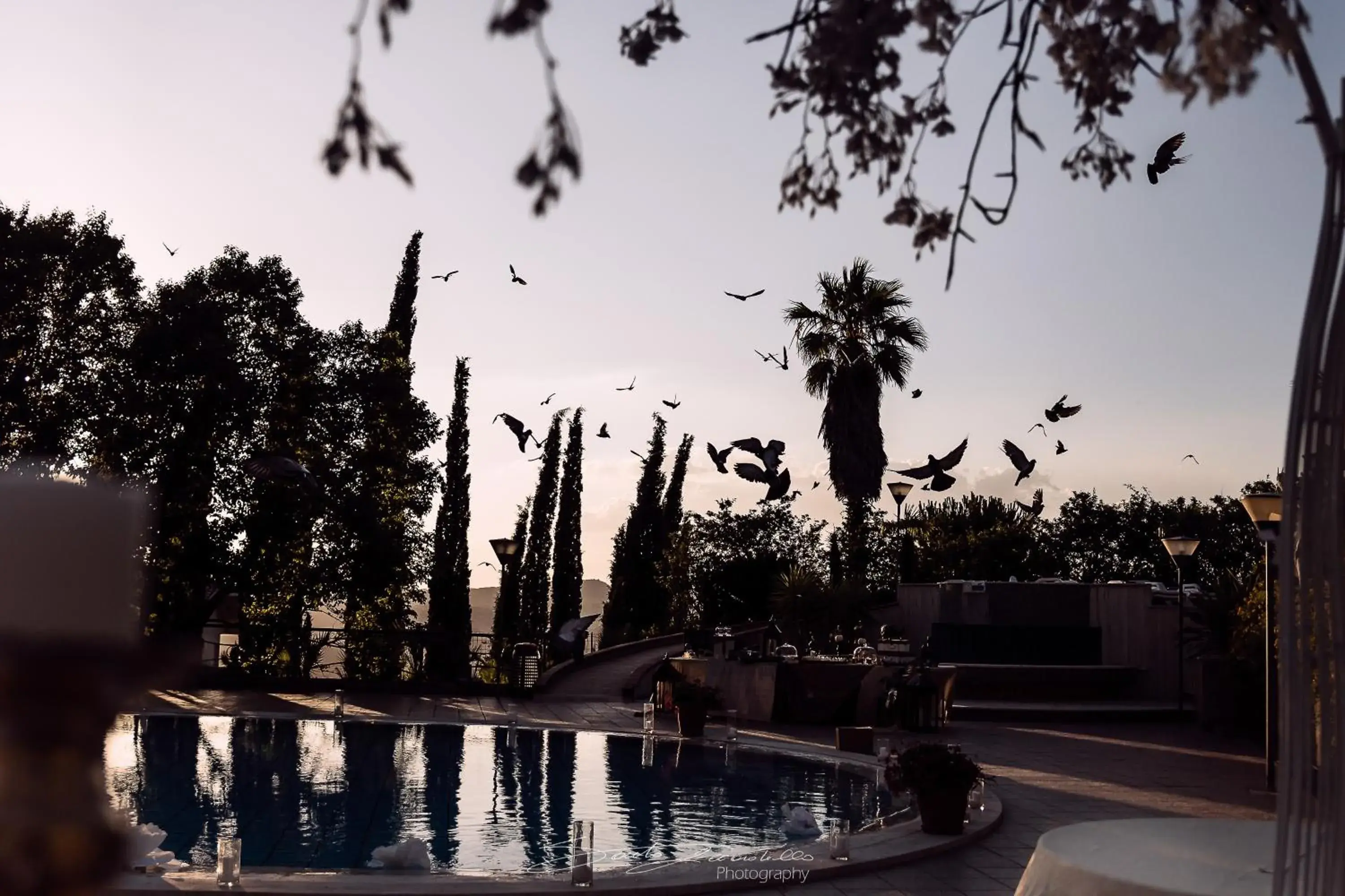 Swimming Pool in Hotel Pomara