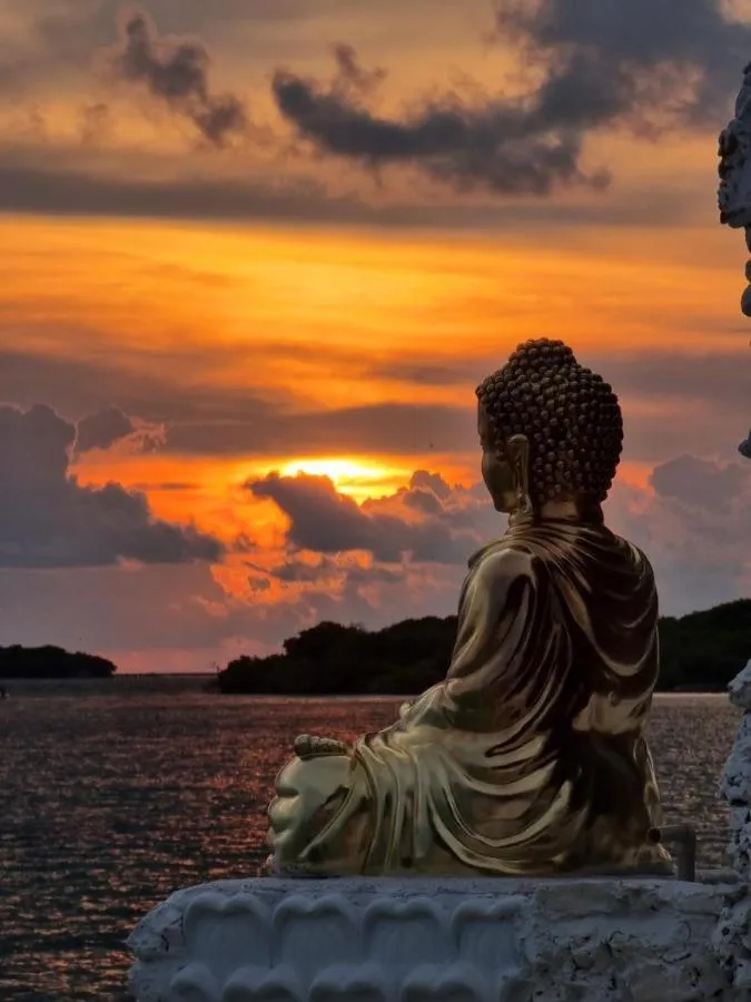 Natural landscape in Bora Bora Beach Club Cartagena