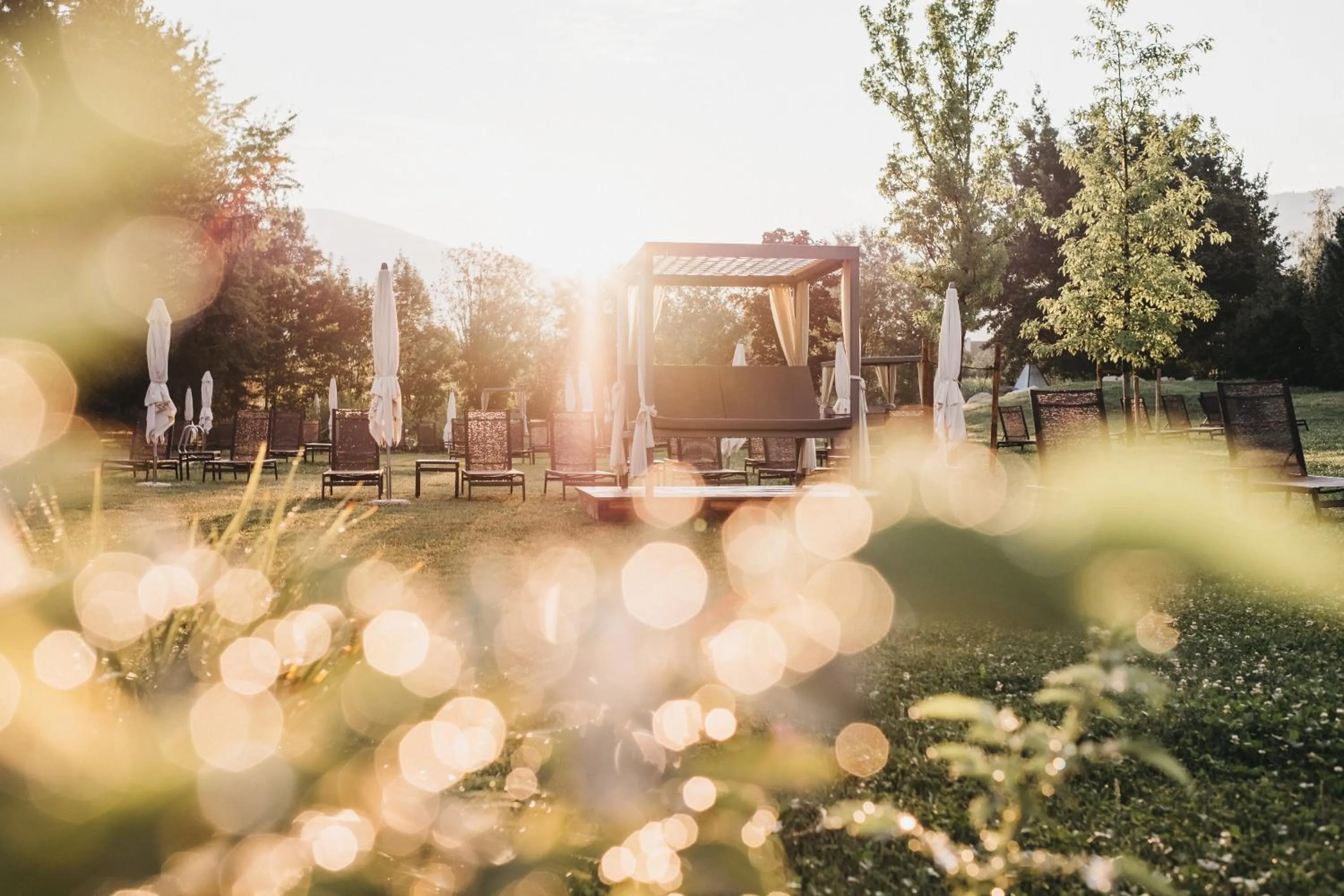 Garden in Hotel Rudolf