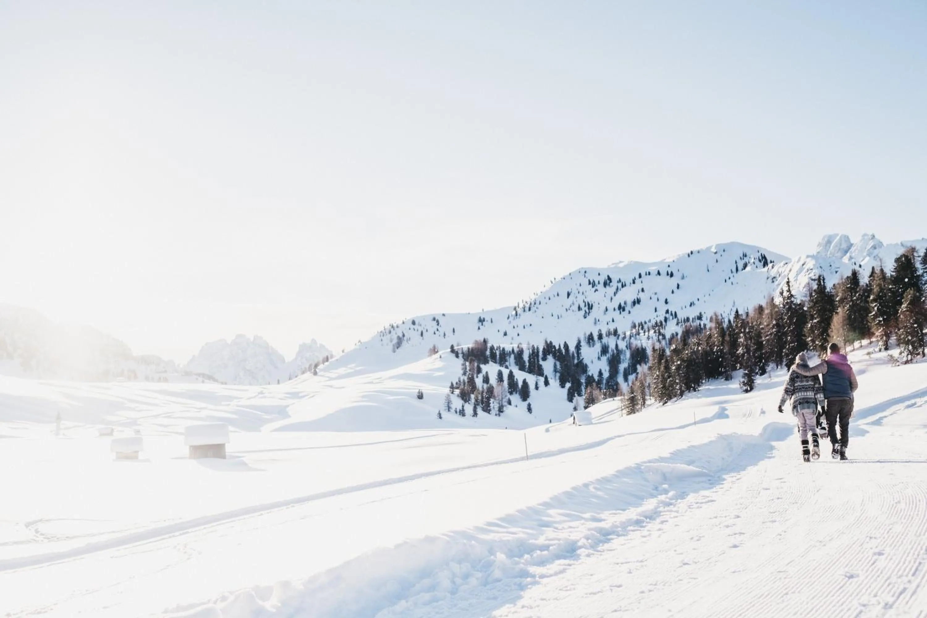 Natural landscape in Hotel Rudolf