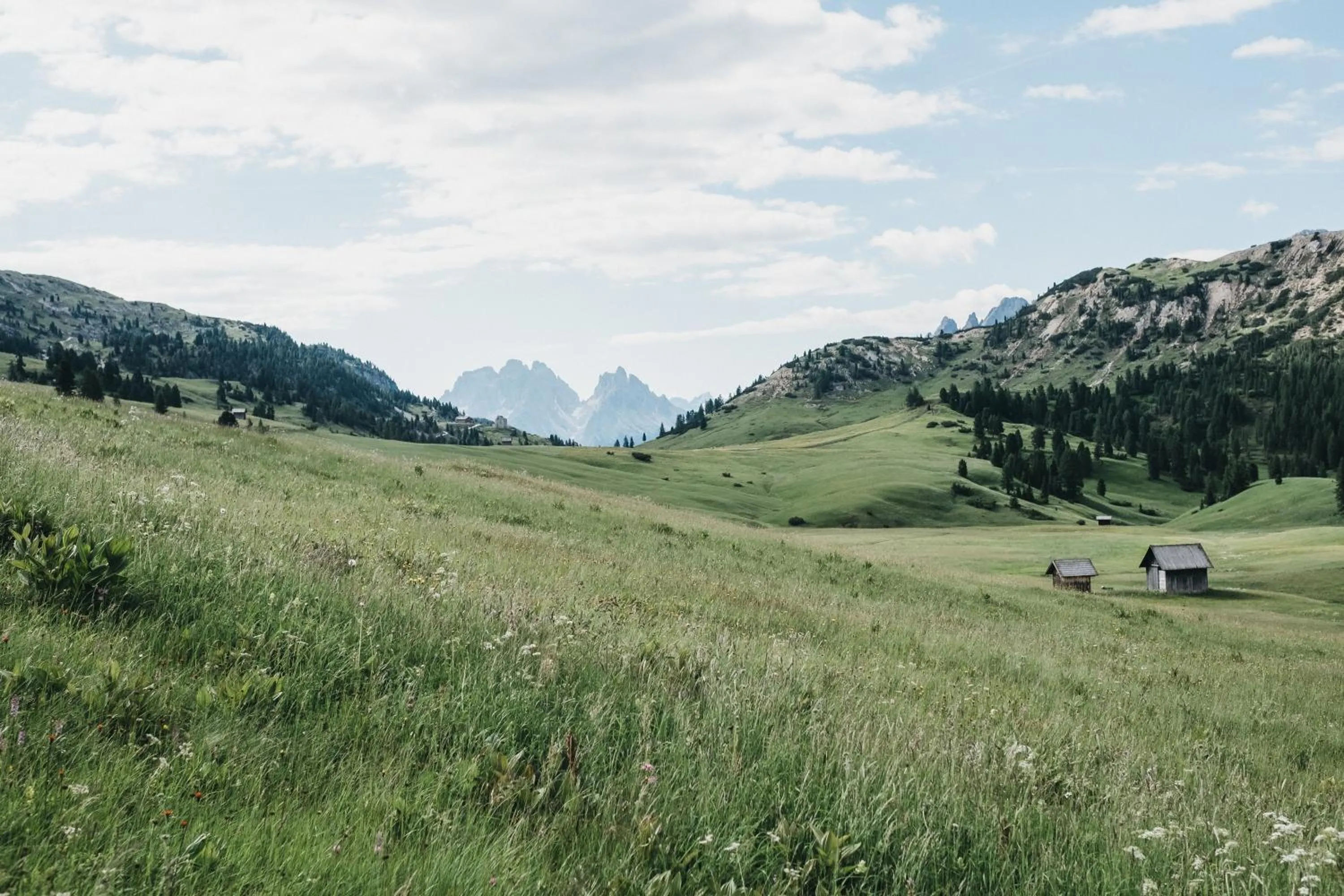 Natural landscape in Hotel Rudolf