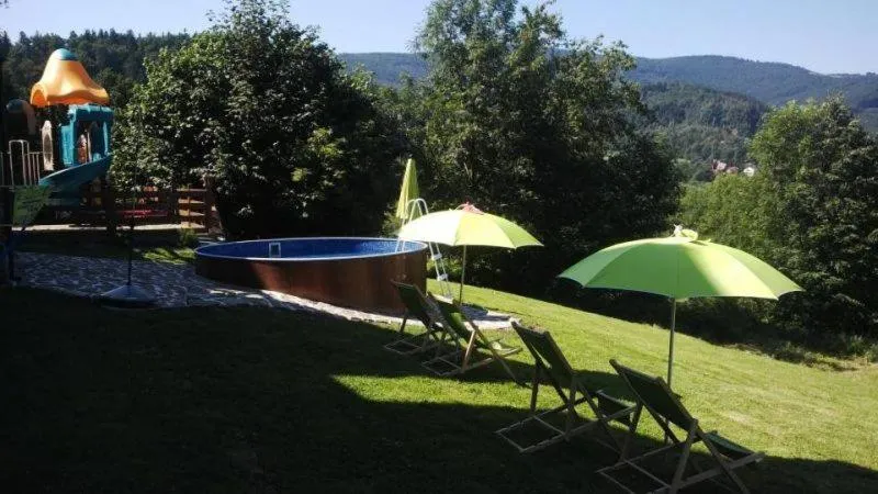 Swimming pool in Mileżówka - Noclegi&SPA