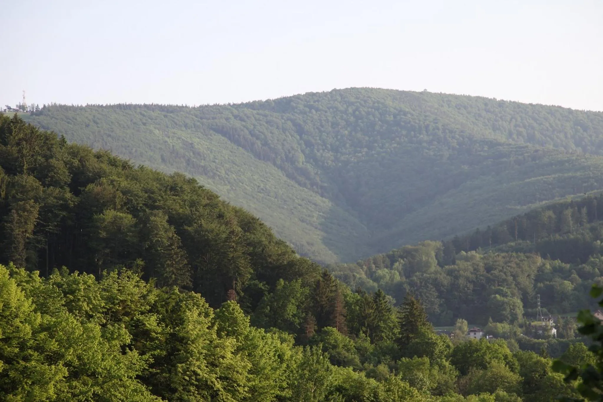 Natural landscape in Mileżówka - Noclegi&SPA