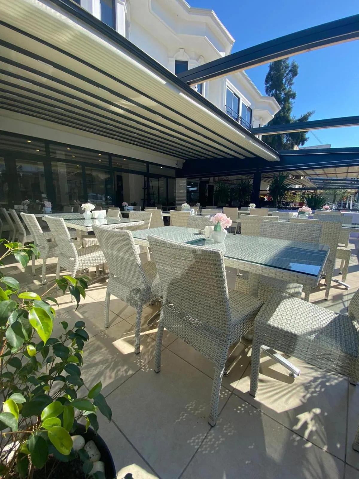 Patio in Alesta Seaside Residence