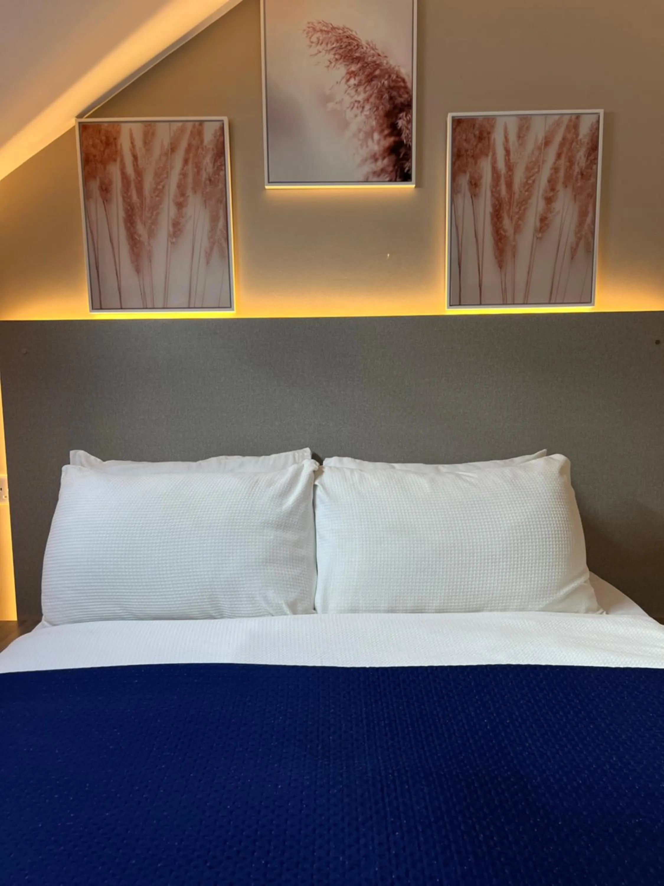 Bed in Paragraph Edmonton