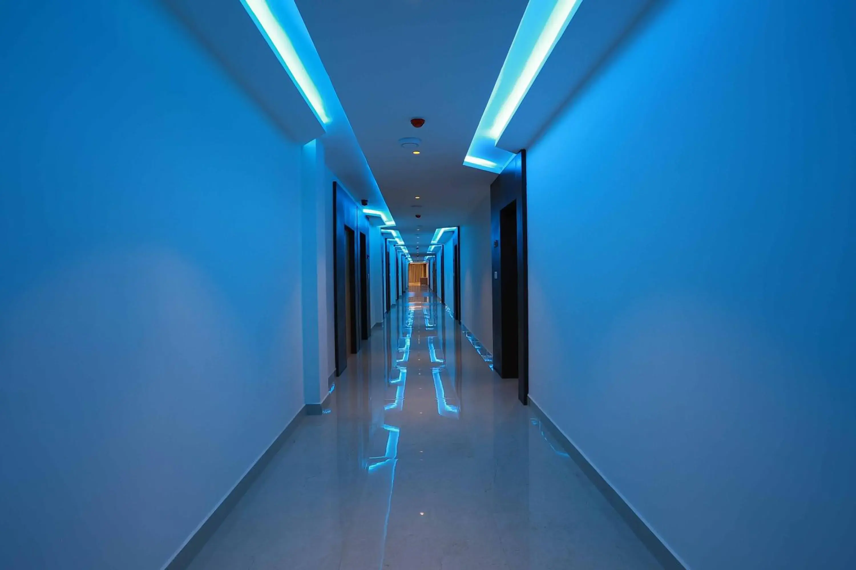 Lobby or reception in HOTEL BLUEMOON Lobby or reception in HOTEL BLUEMOON