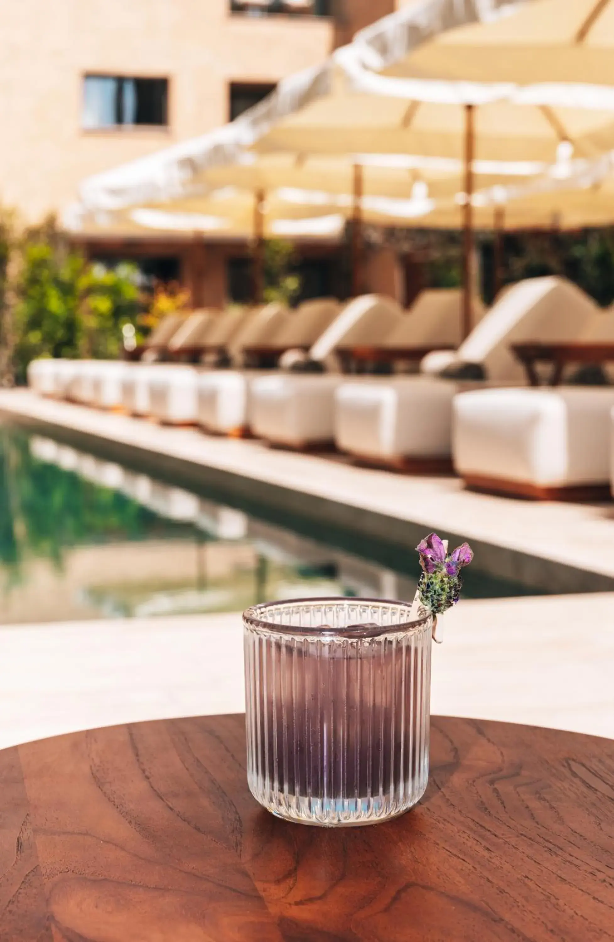 Swimming pool in M Boutique Hotel - Designed for Adults Swimming pool in M Boutique Hotel - Designed for Adults