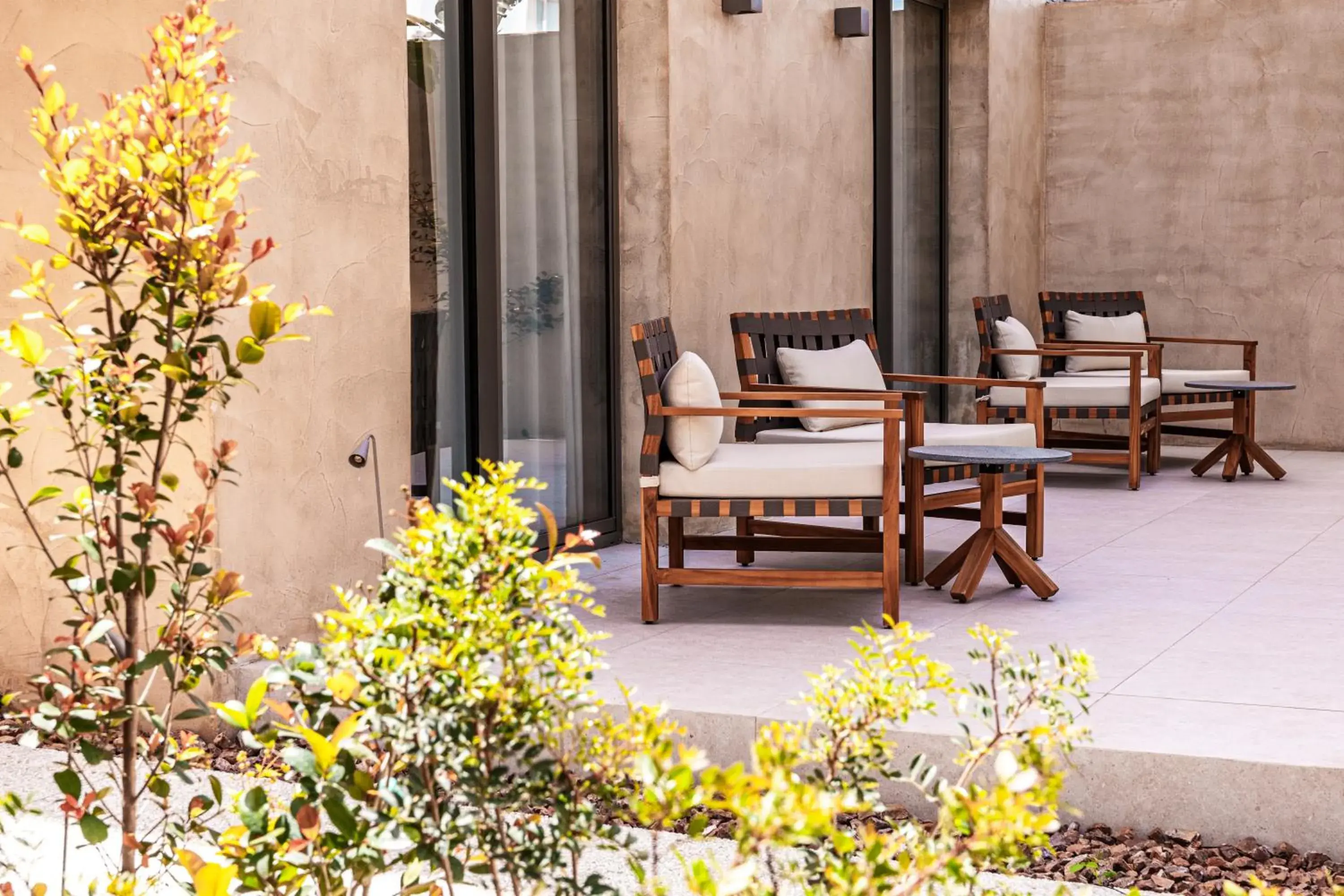 Garden view in M Boutique Hotel - Designed for Adults Garden view in M Boutique Hotel - Designed for Adults