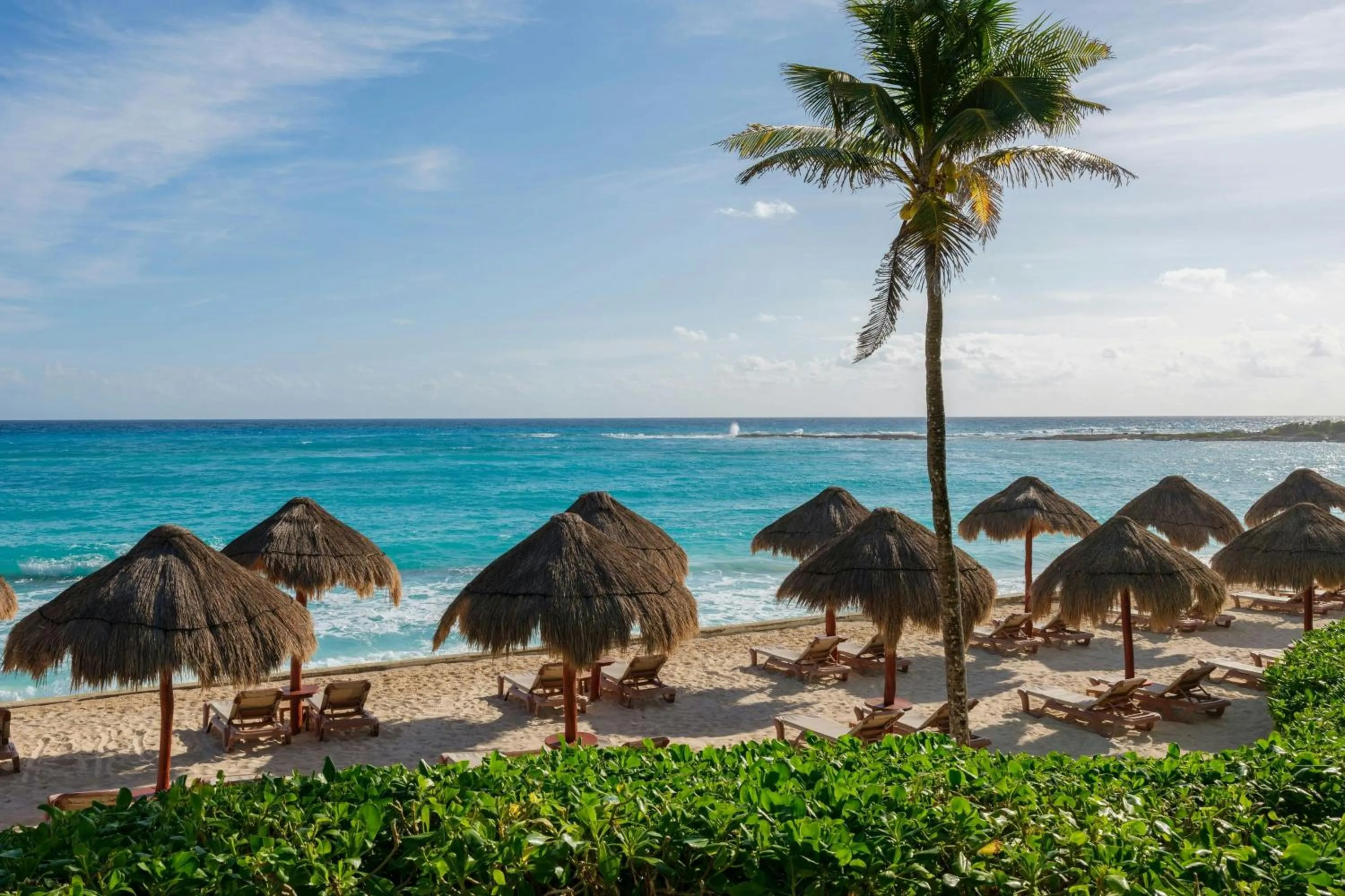Beach in The Westin Cancun Resort Villas & Spa