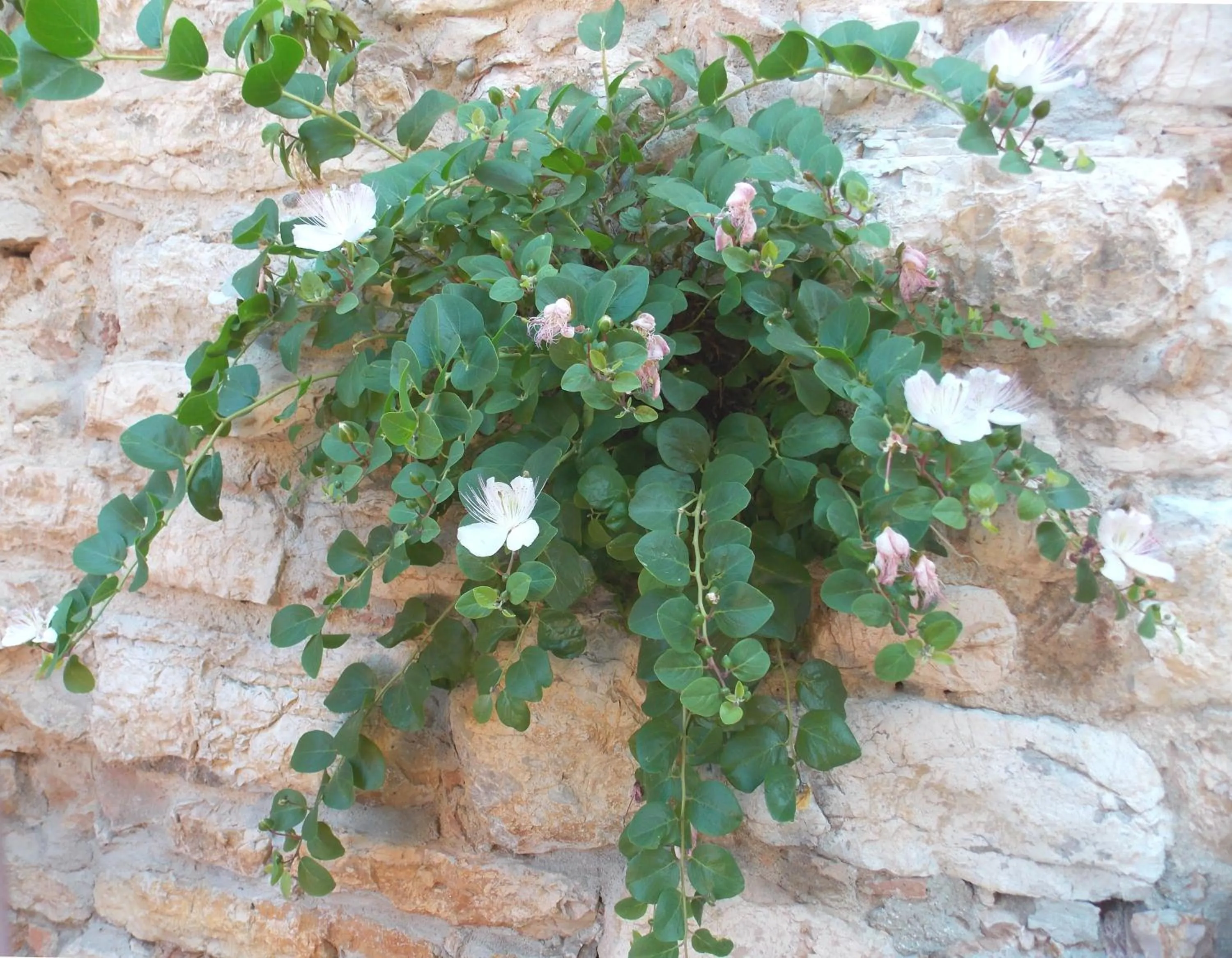 Other in Hotel Signa