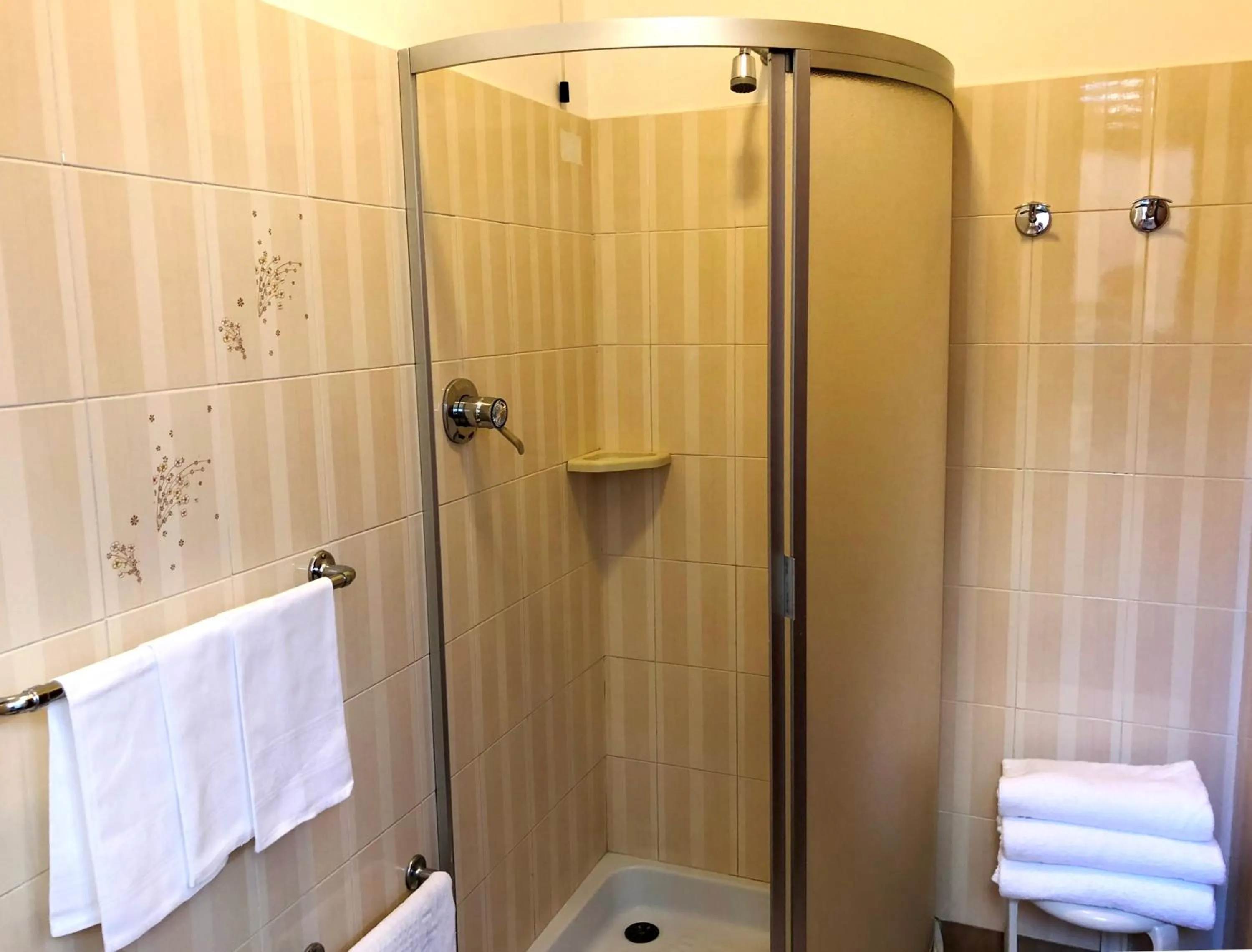 Bathroom in Hotel Signa