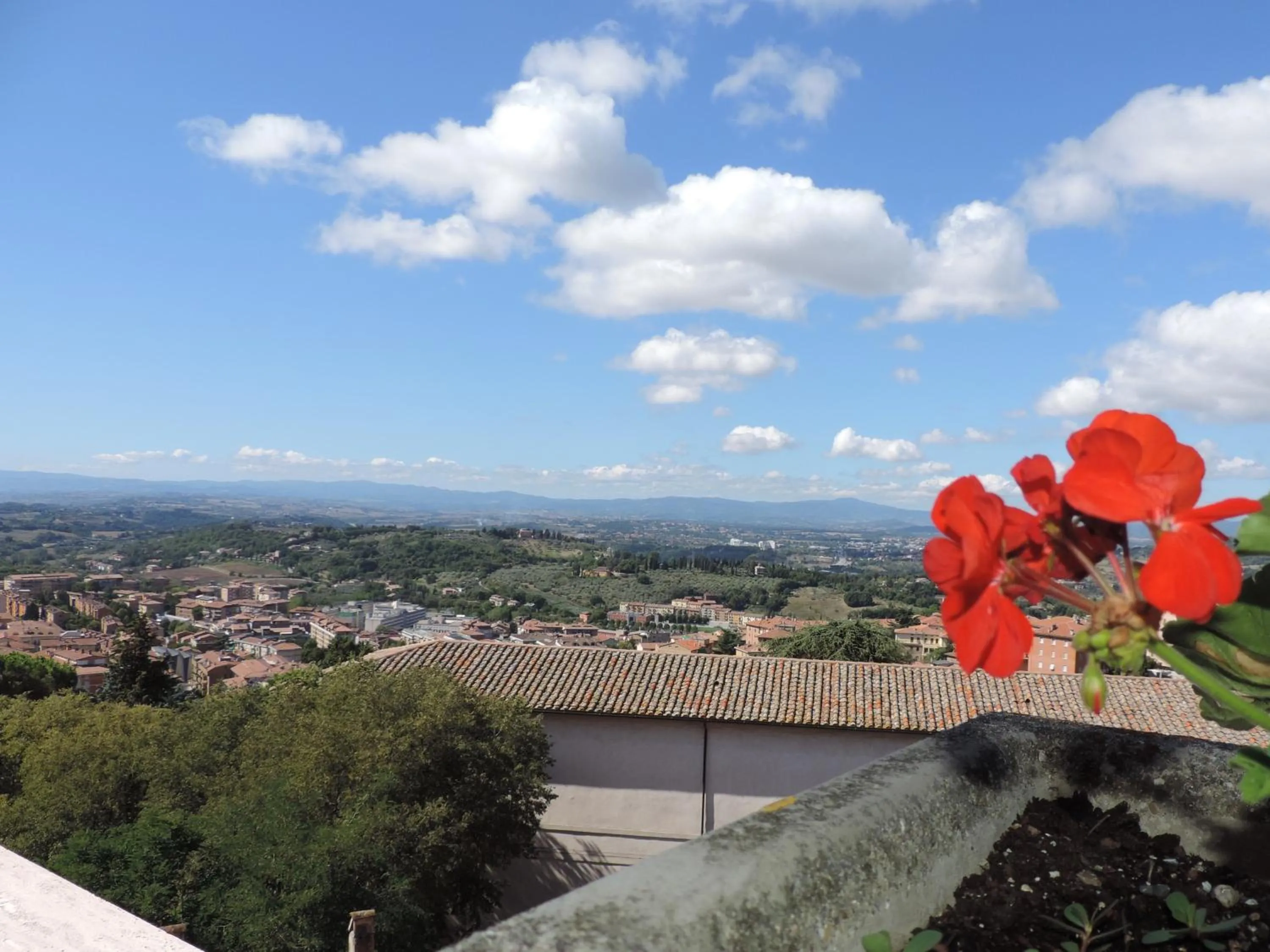 Spring in Hotel Signa