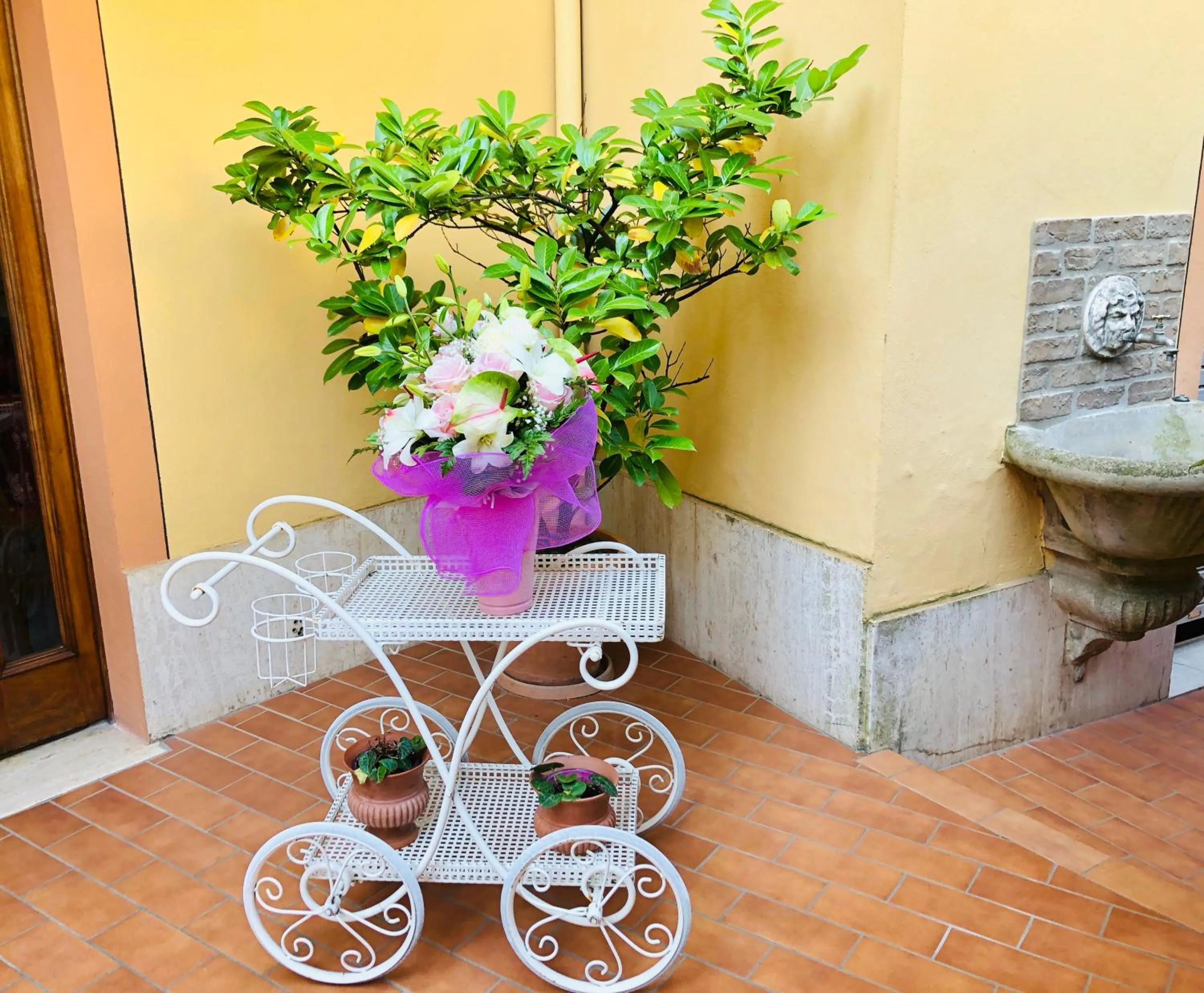 Patio in Hotel Signa