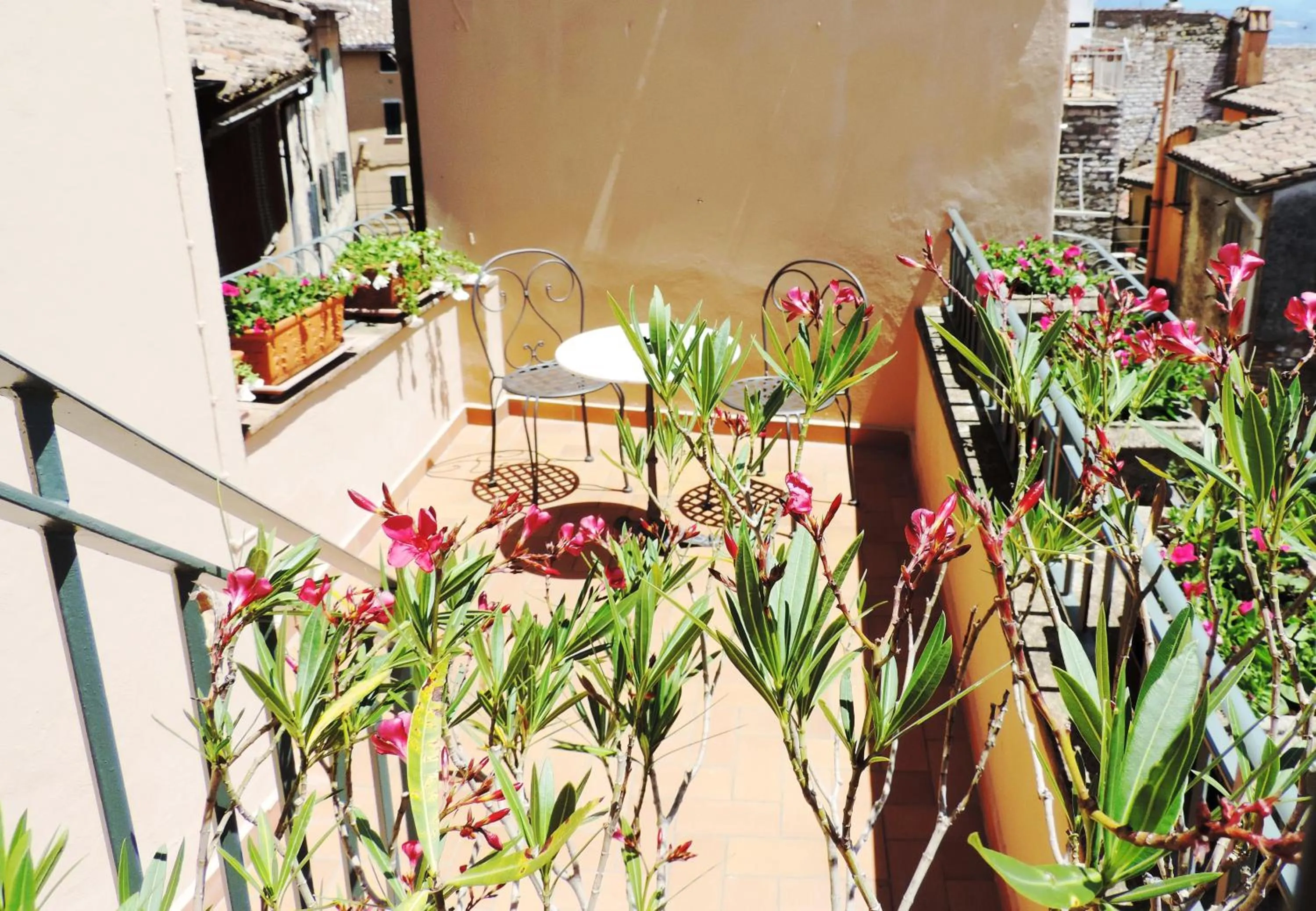 Balcony/Terrace in Hotel Signa