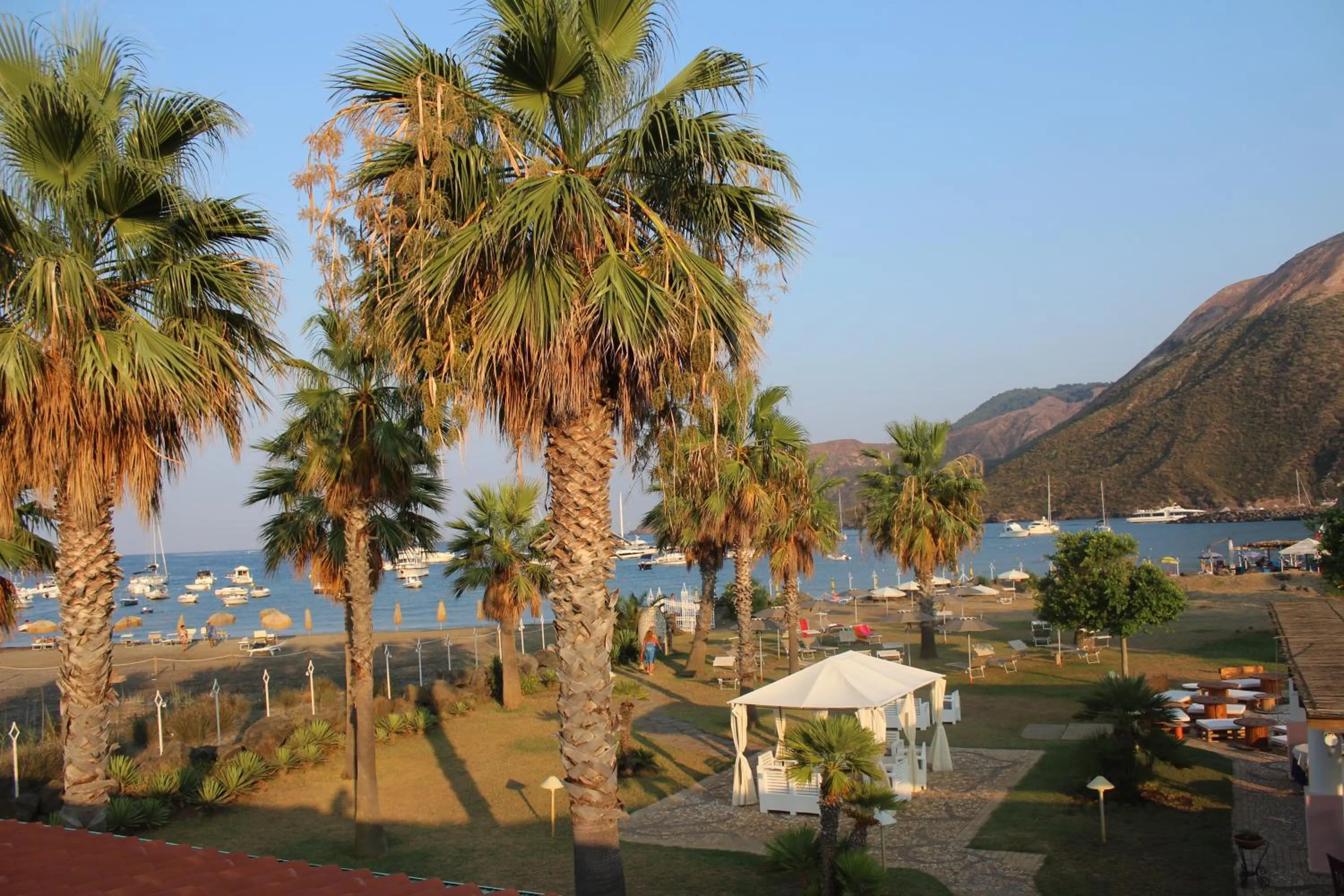 Garden in Hotel Eros