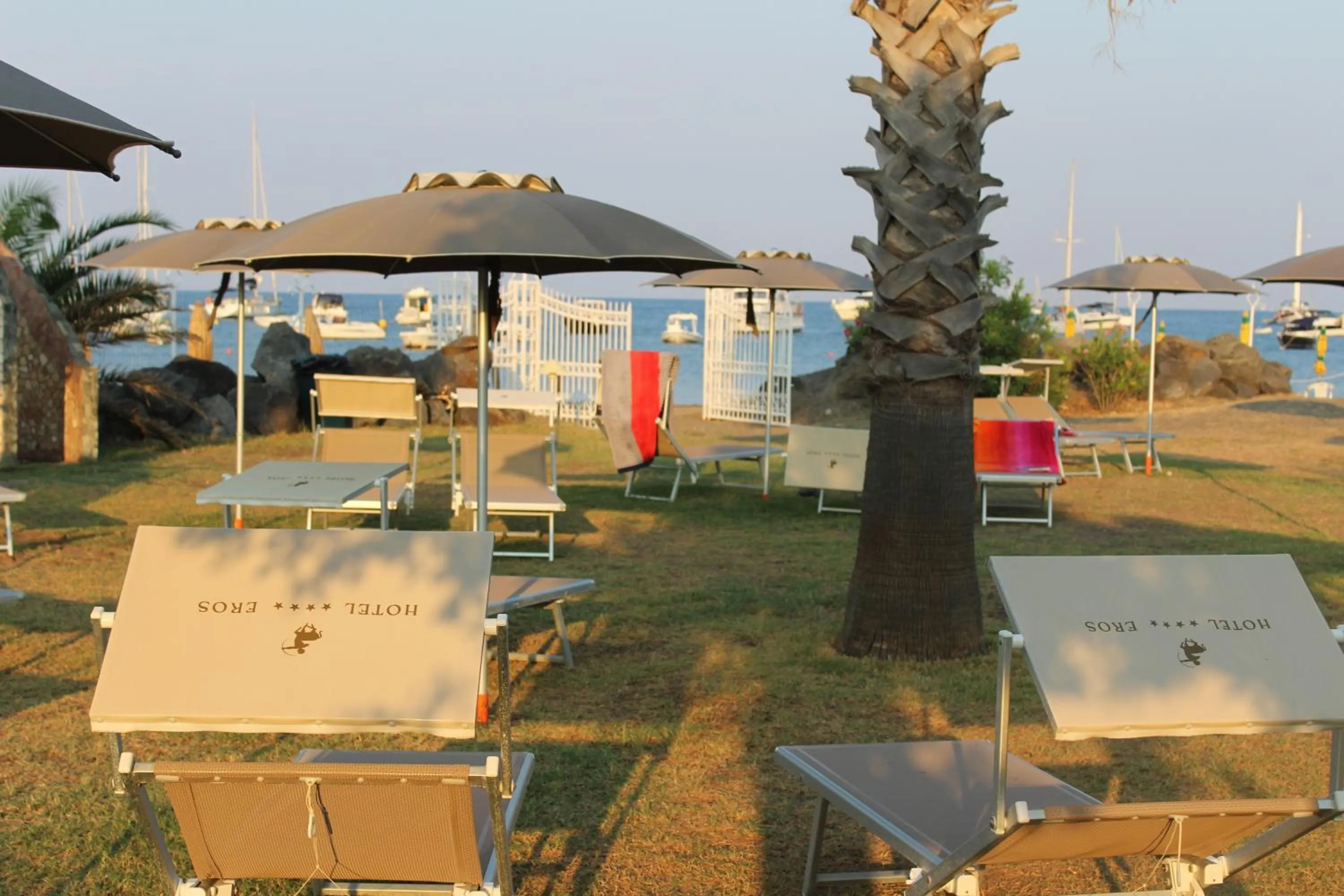 Garden in Hotel Eros