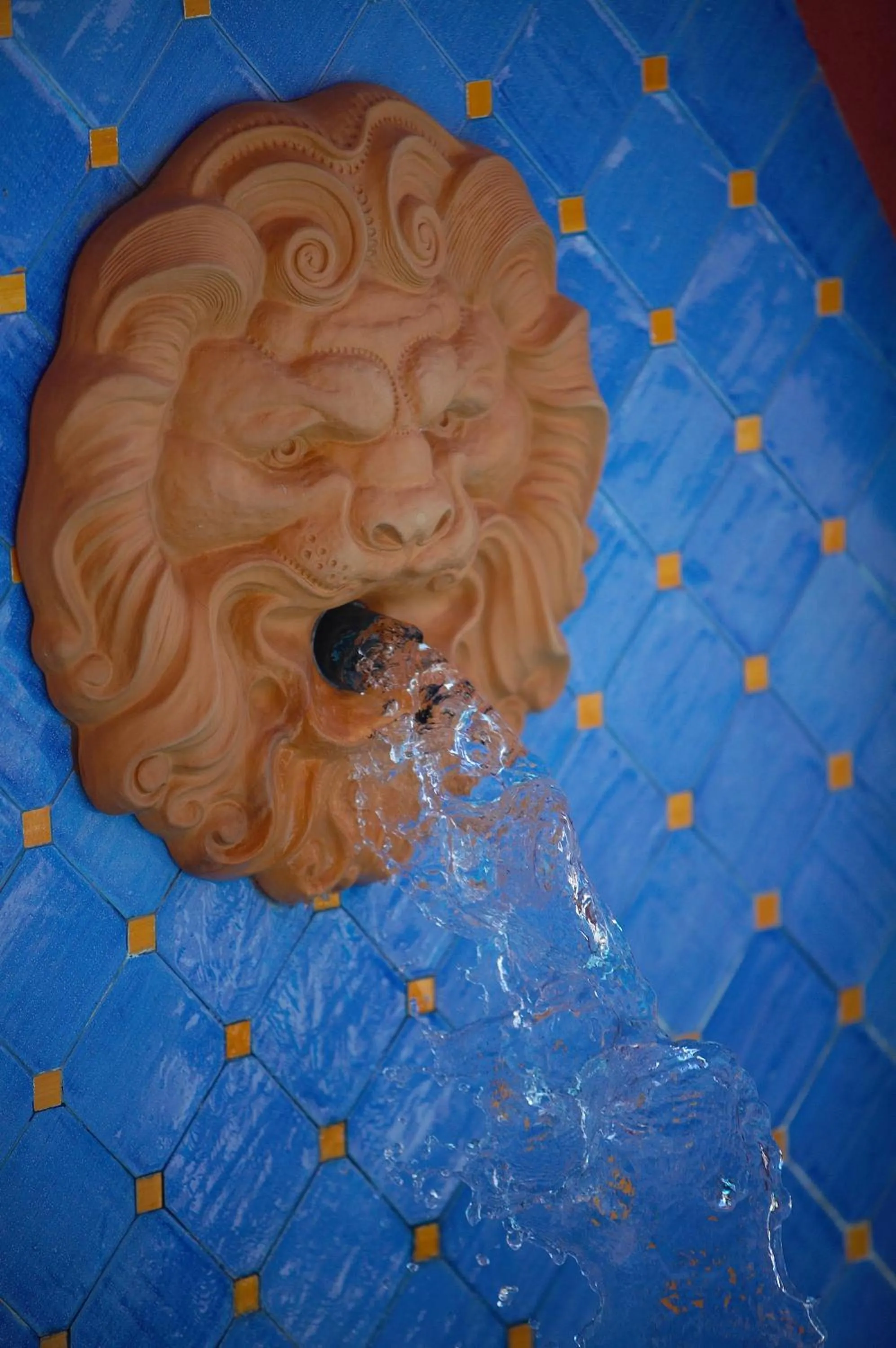 Decorative detail in Arciduca Grand Hotel