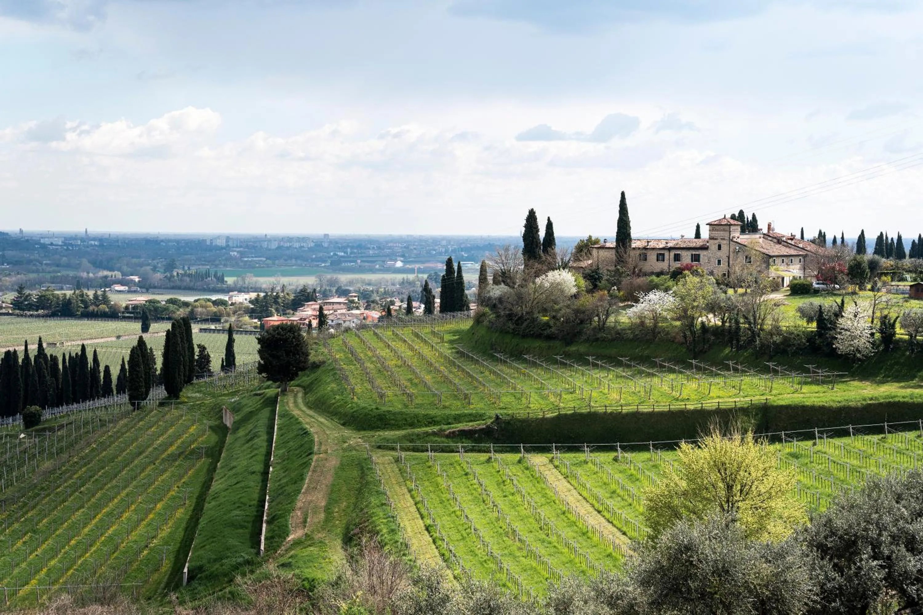 Bird's eye view in Castrum Wine Relais - Albergo Diffuso