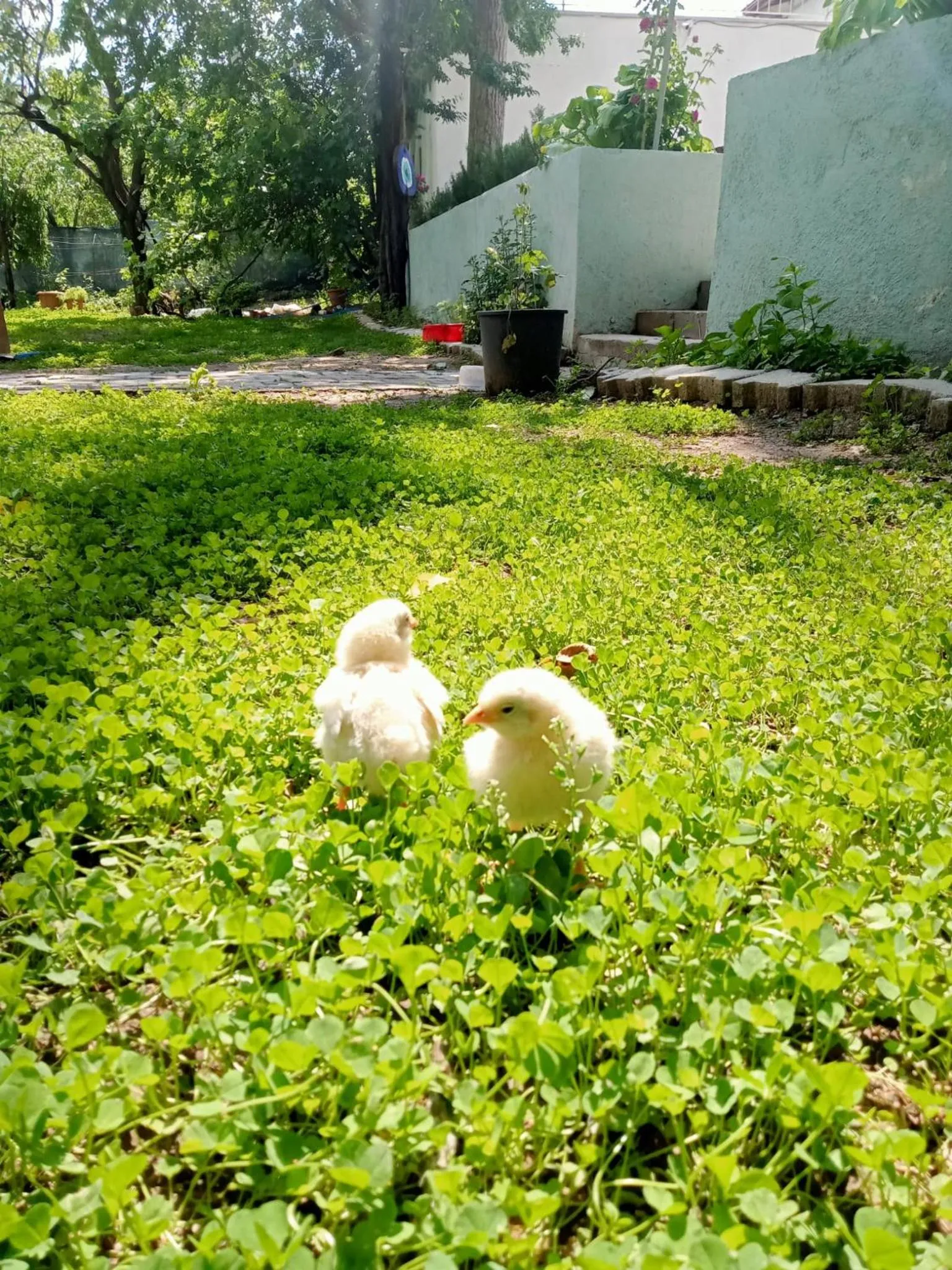 Koca Kapı Konaklama