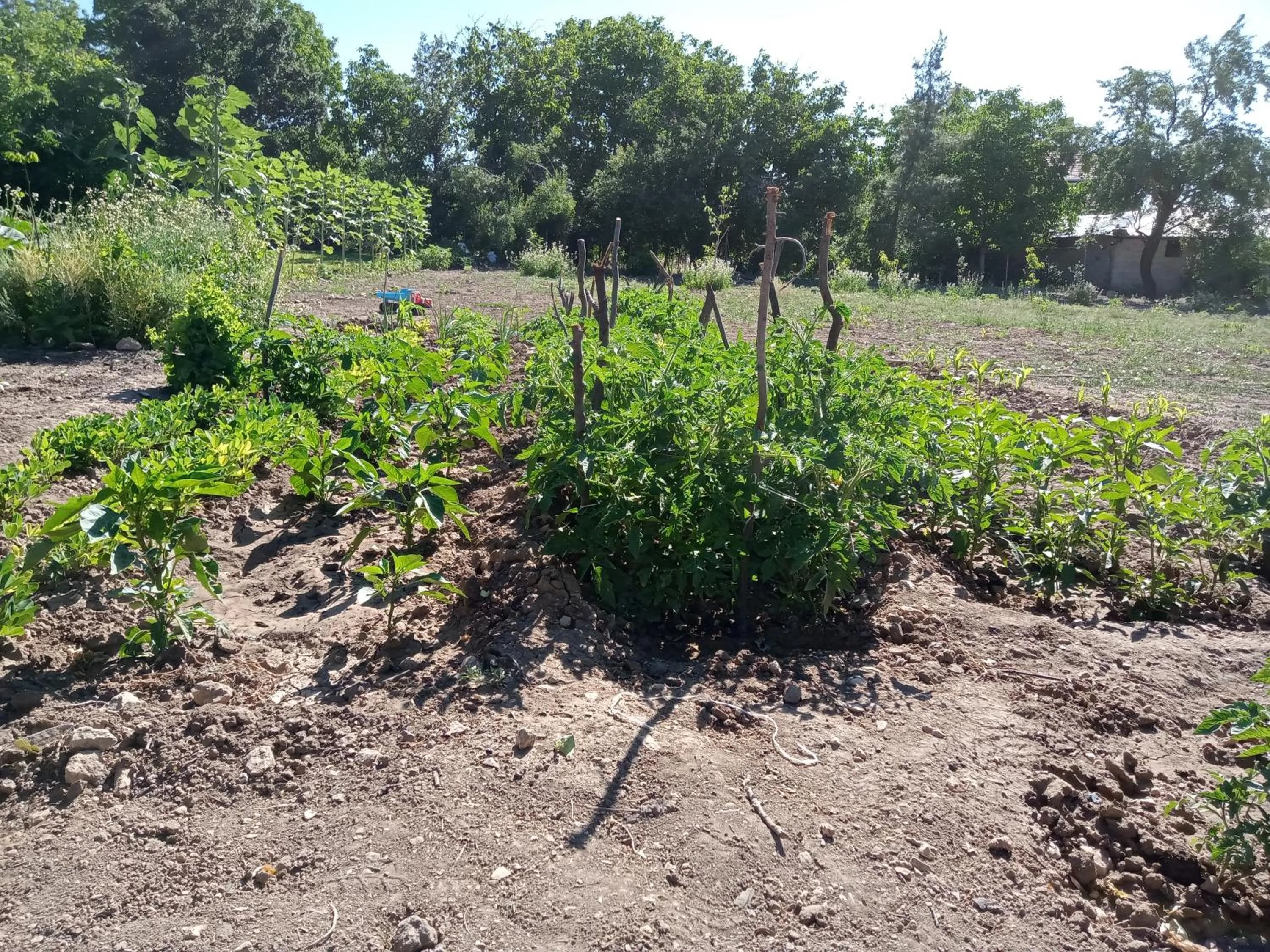 Koca Kapı Konaklama