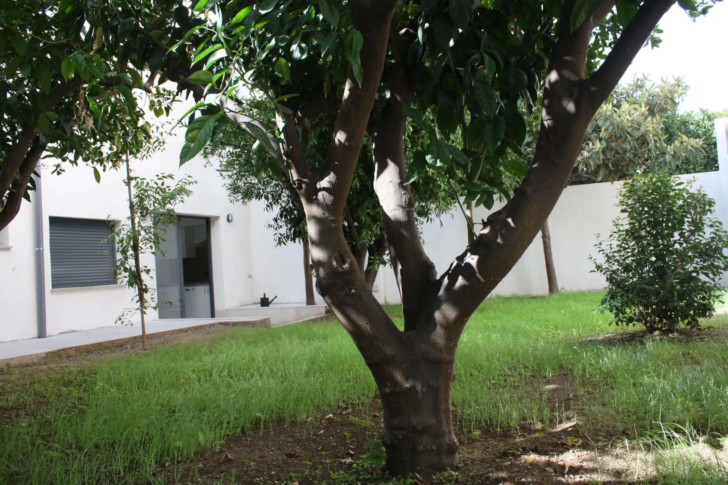 Garden in Residencia Mayol - Adults Only