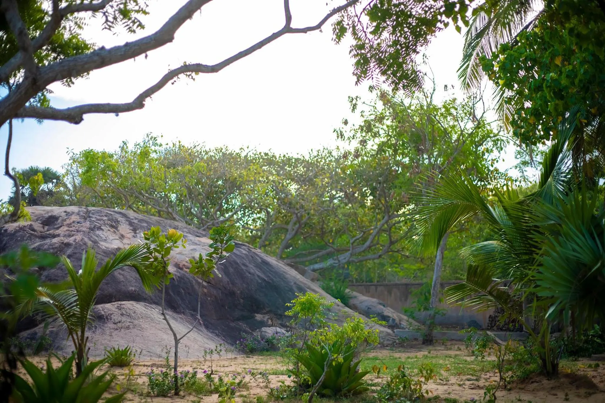 Natural landscape in NIKARA Luxury Beach House