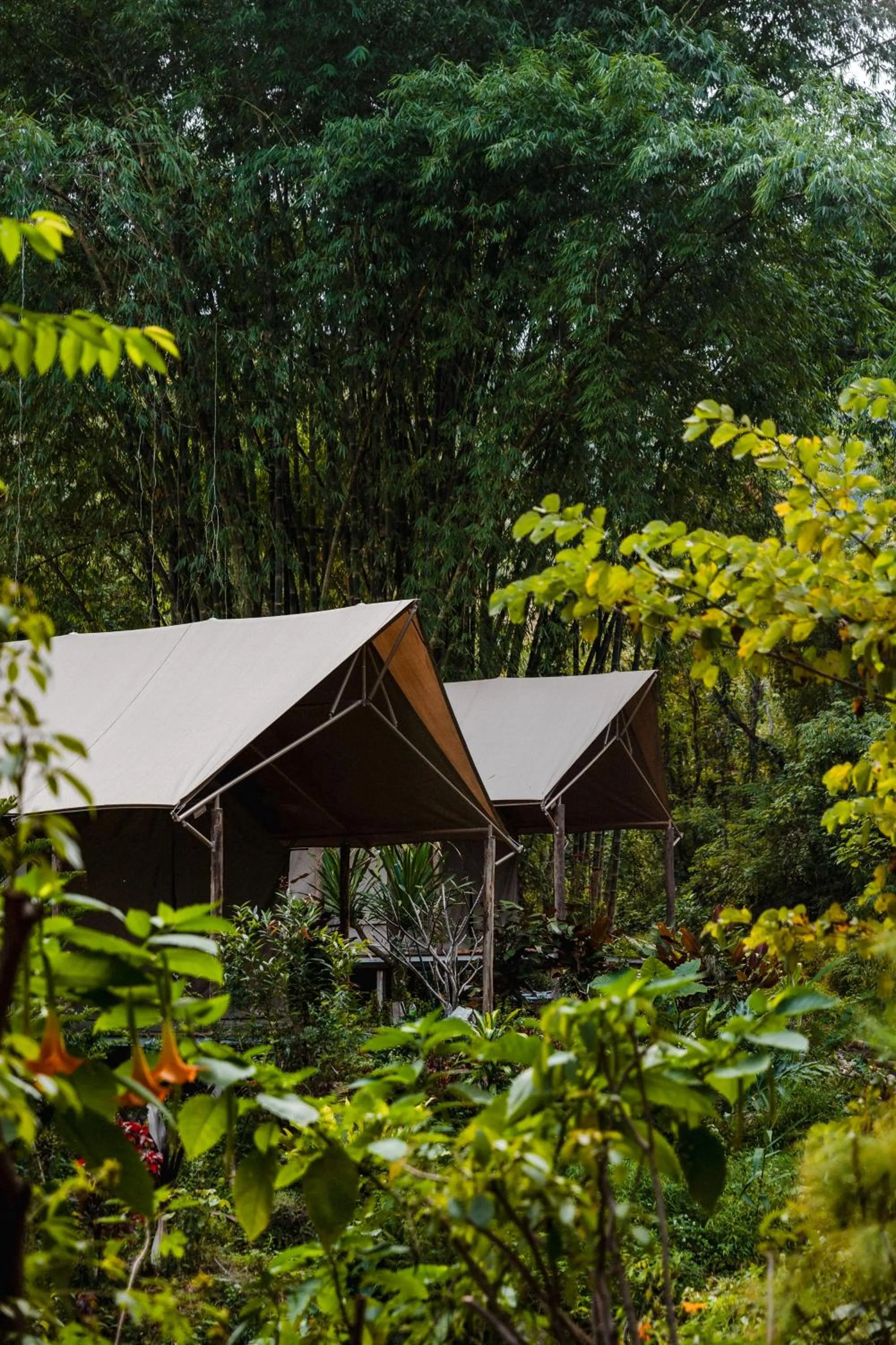 View (from property/room) in Visama Explorer Nan