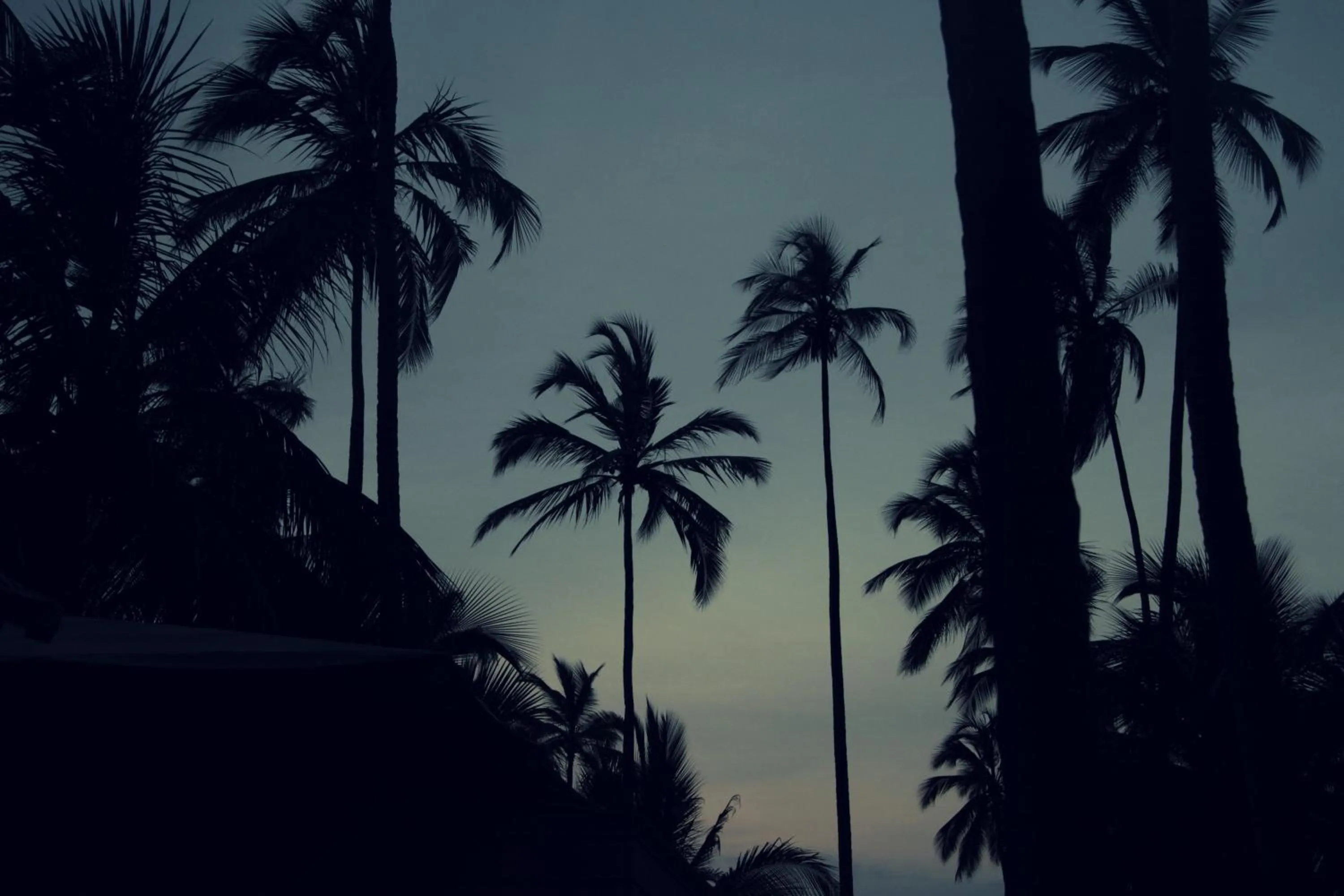 Other in Tayrona Tented Lodge