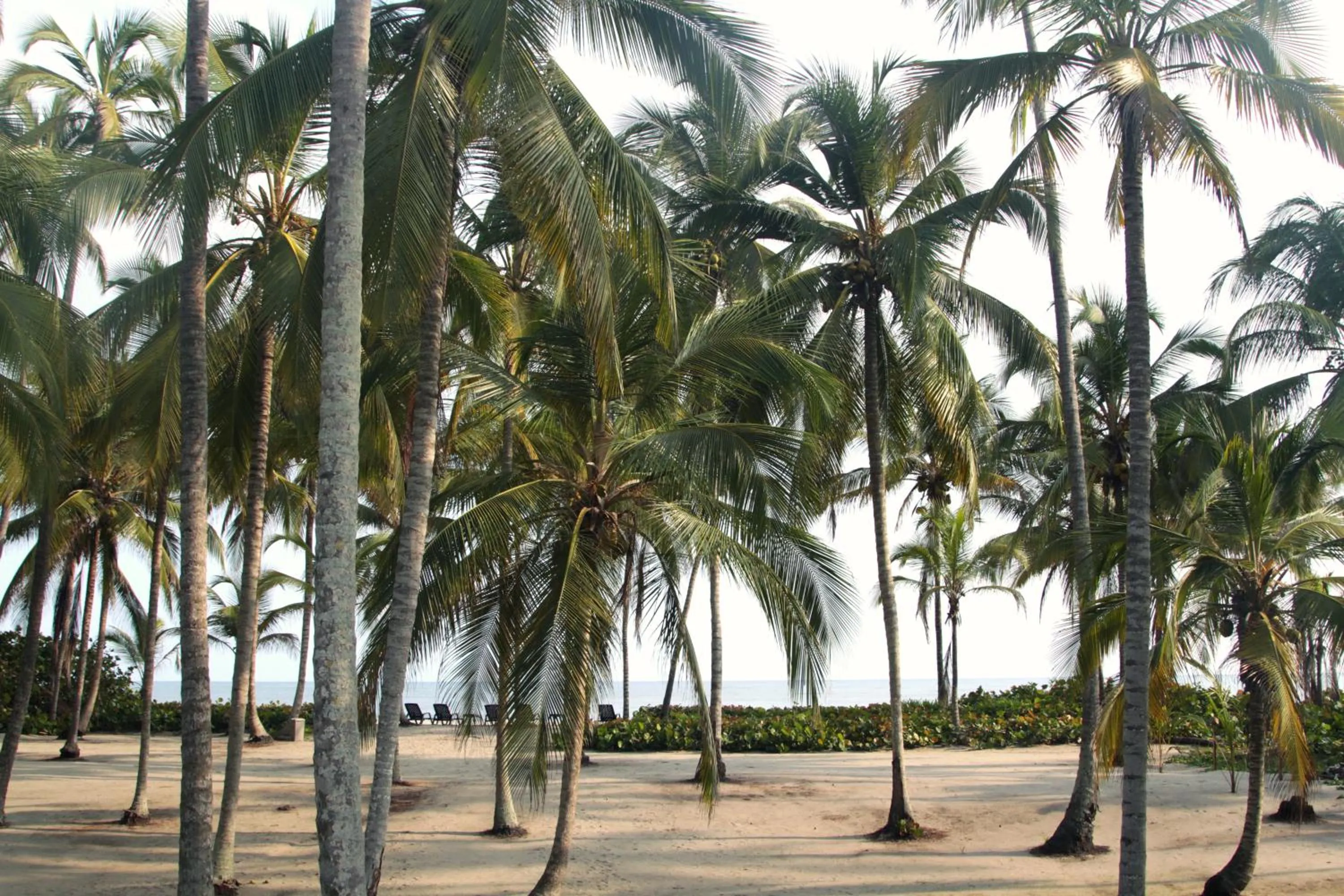 Day in Tayrona Tented Lodge