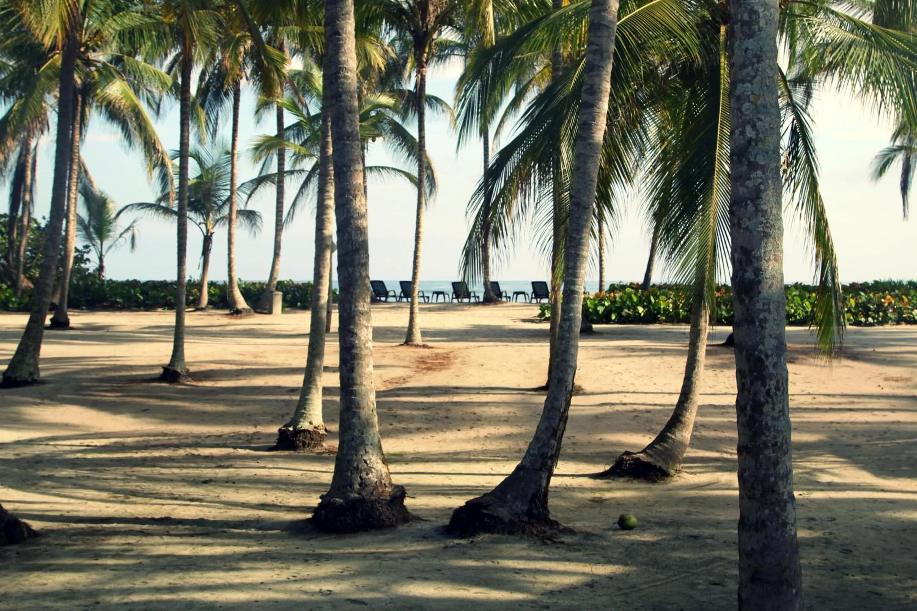 Day in Tayrona Tented Lodge