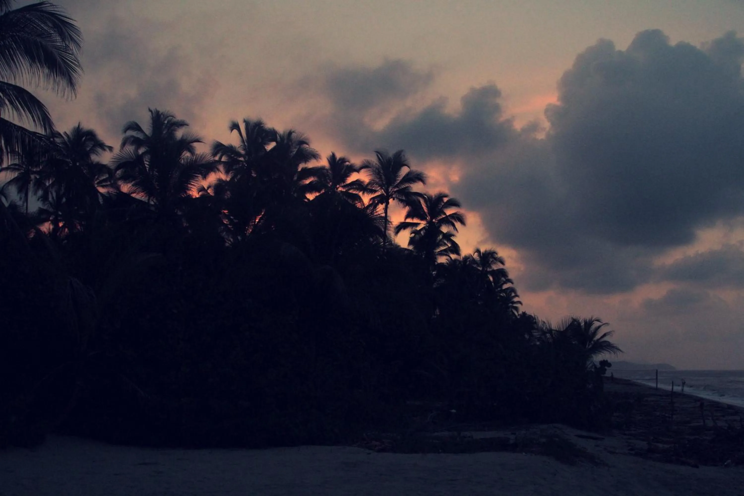 Natural landscape in Tayrona Tented Lodge