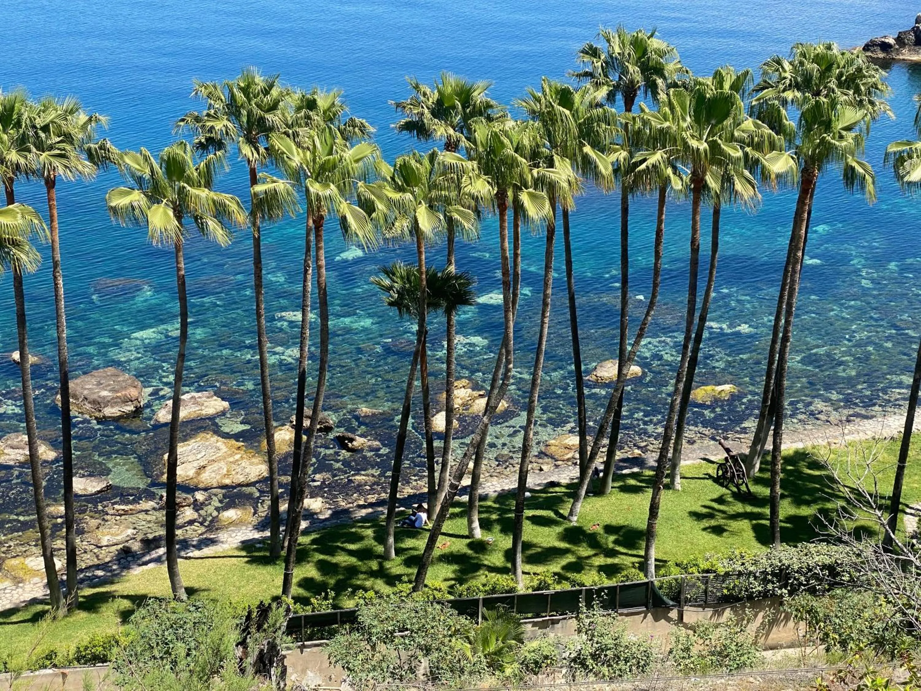 Natural landscape in Blue Marine Taormina