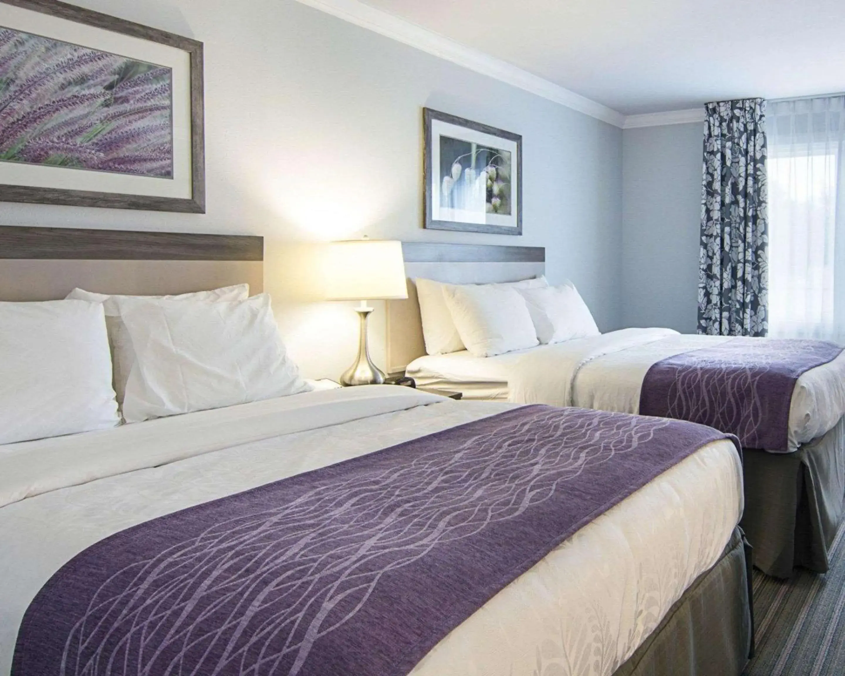 Bedroom, Bed in Comfort Inn Williamsburg Gateway Bedroom, Bed in Comfort Inn Williamsburg Gateway