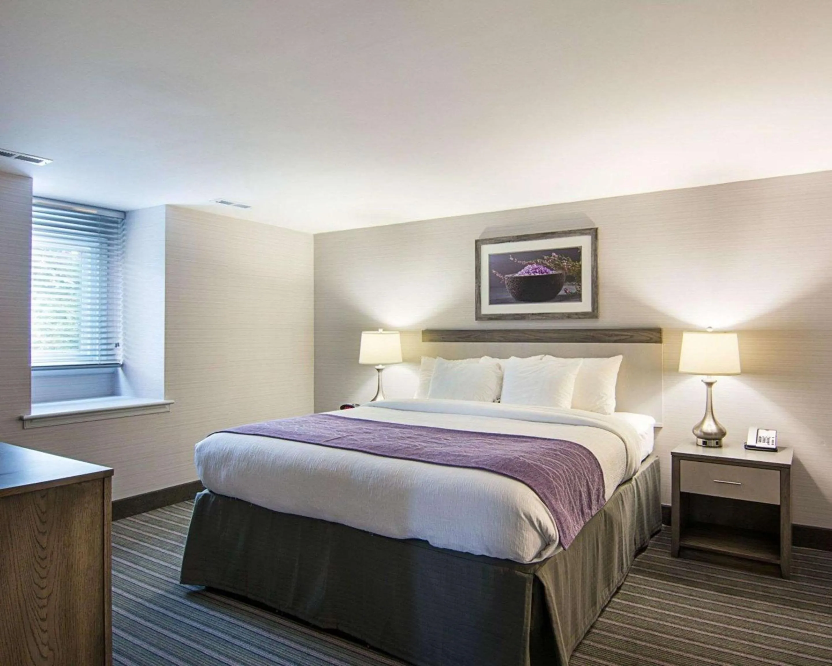 Bedroom, Bed in Comfort Inn Williamsburg Gateway