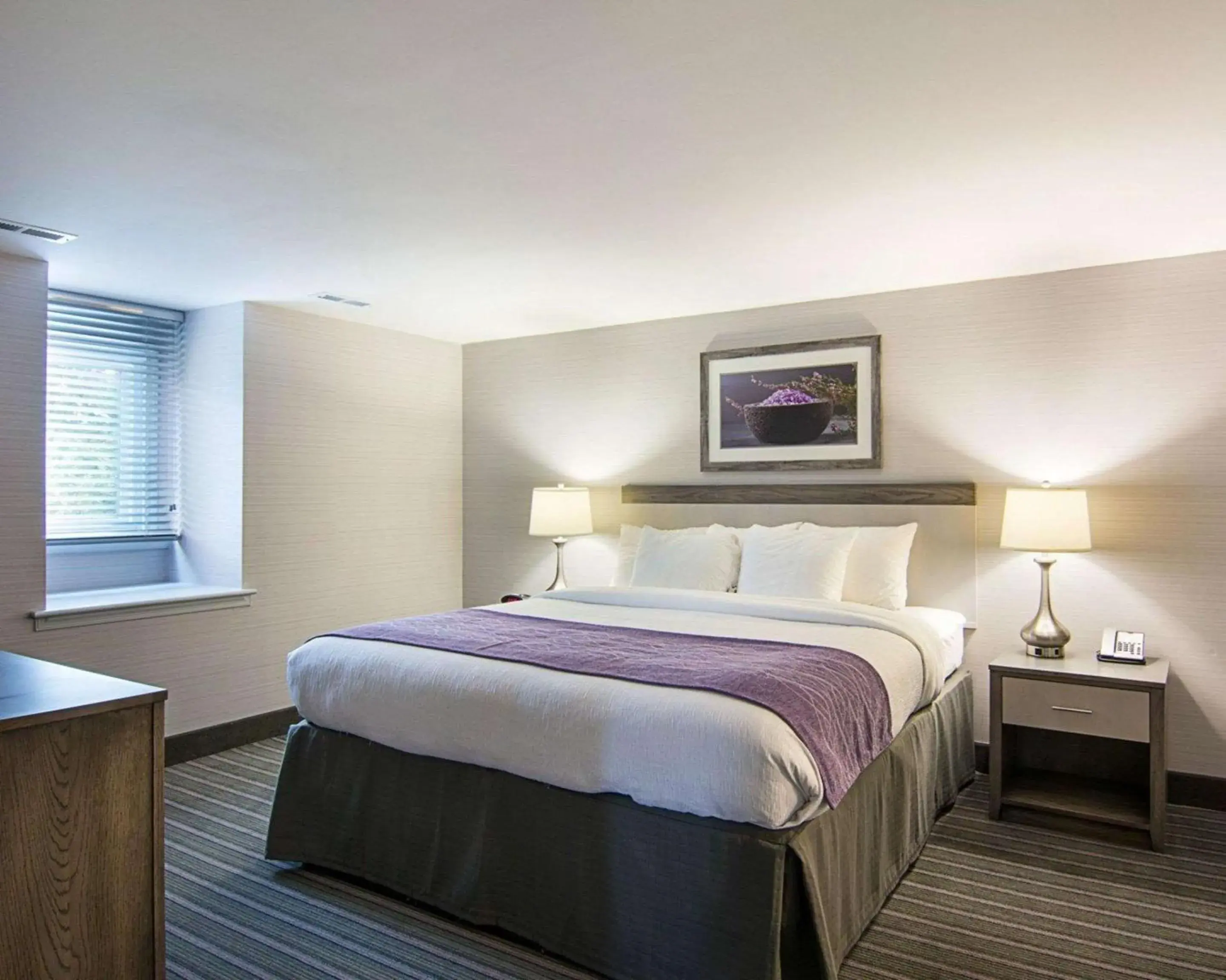 Bedroom, Bed in Comfort Inn Williamsburg Gateway Bedroom, Bed in Comfort Inn Williamsburg Gateway