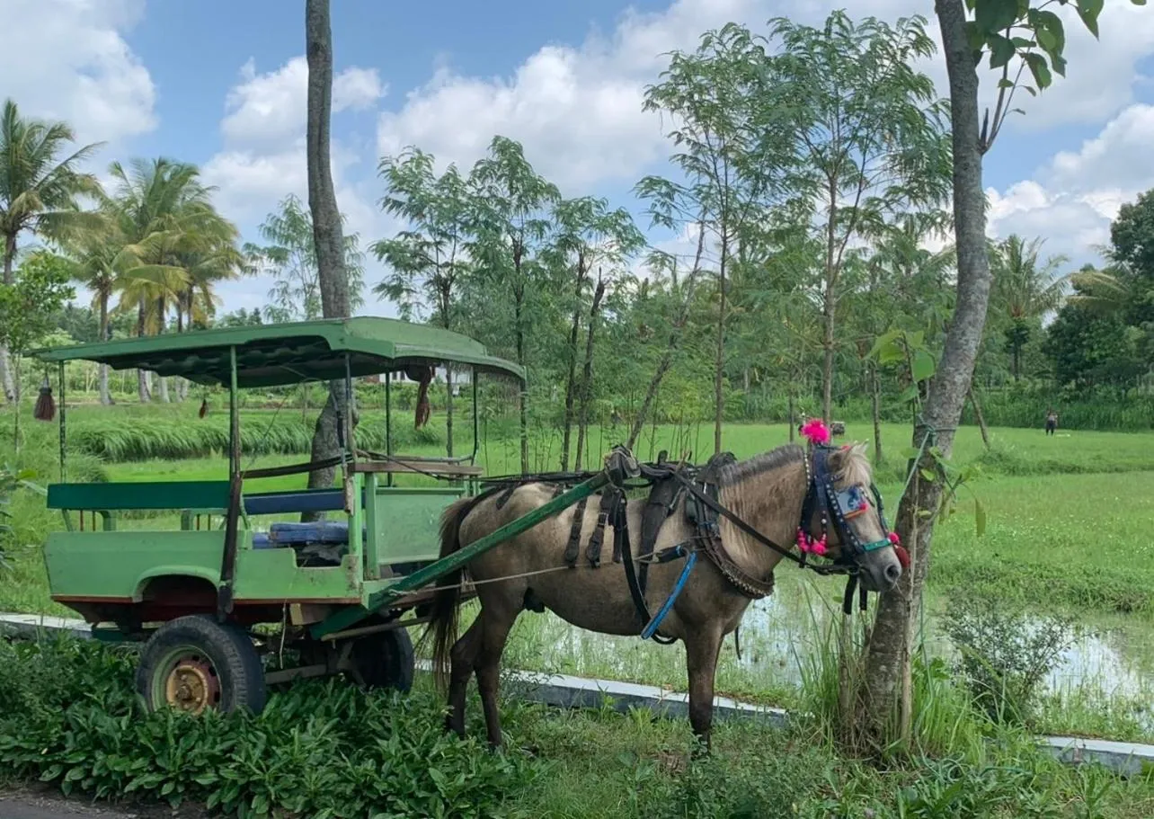 Nearby landmark in Naia Lombok