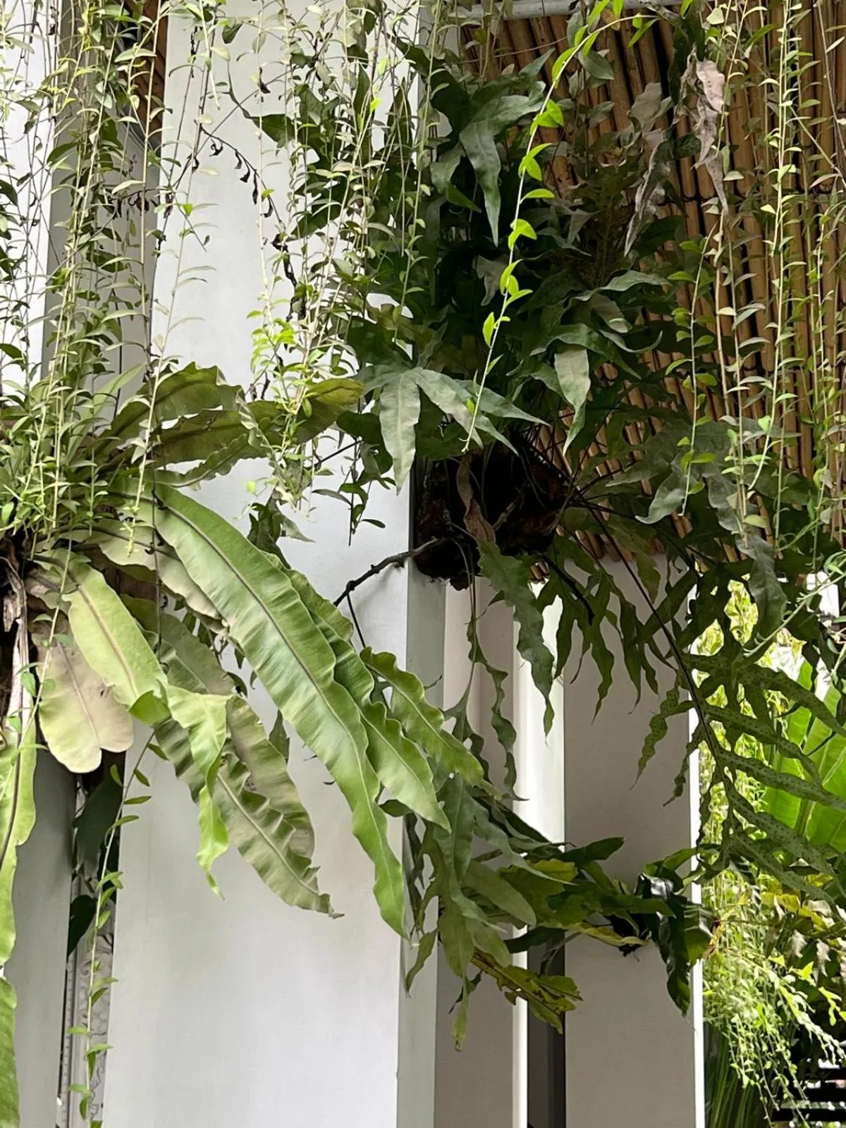 Inner courtyard view in Naia Lombok