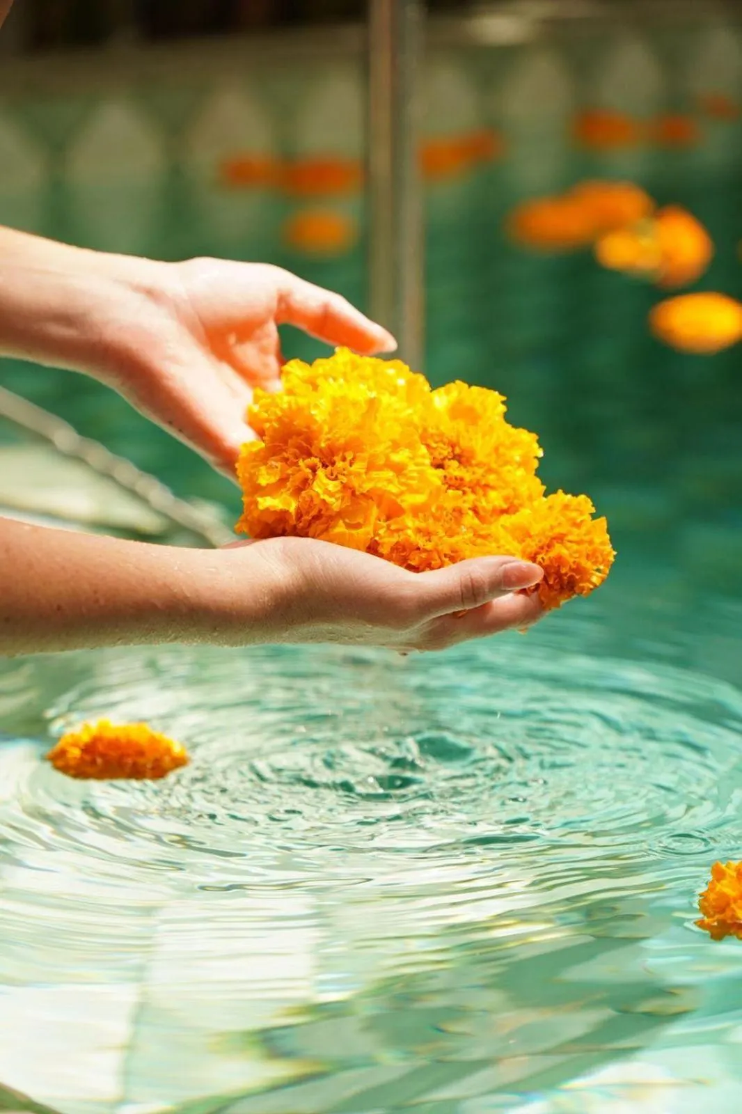 Swimming pool in Naia Lombok