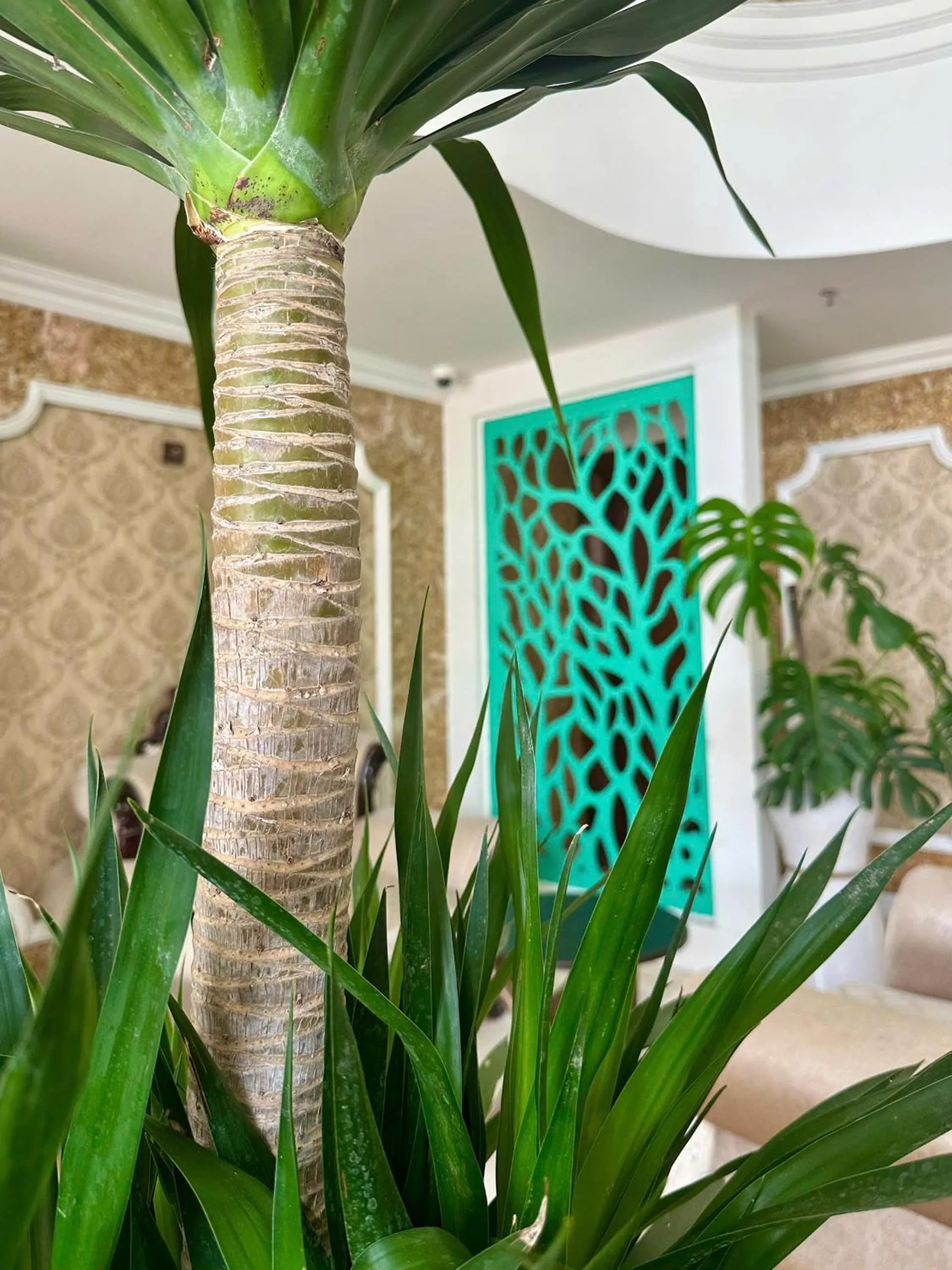 Communal lounge/ TV room in Century Hotel Da Nang