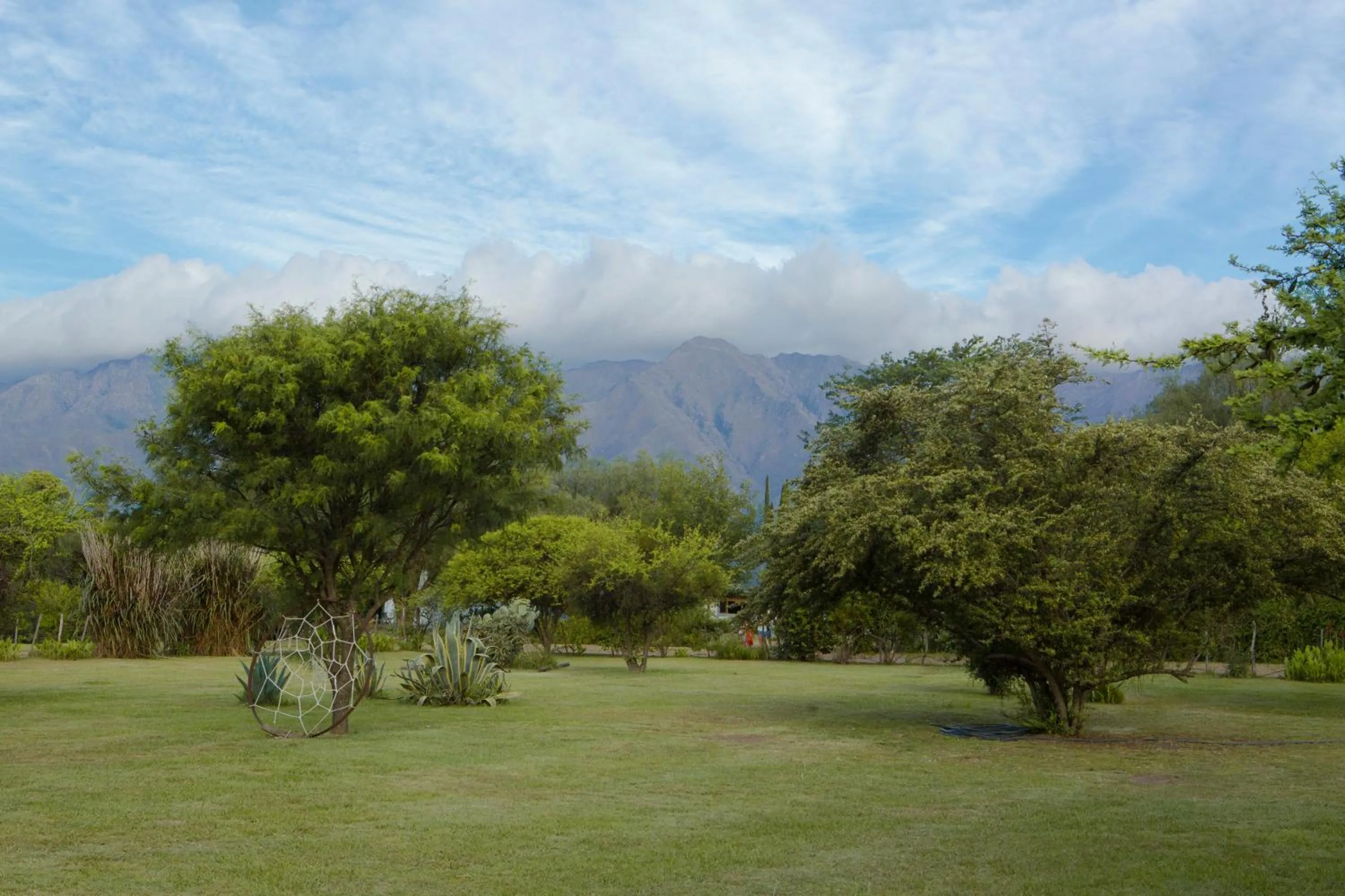 Spring in Posada Villapancha B&B