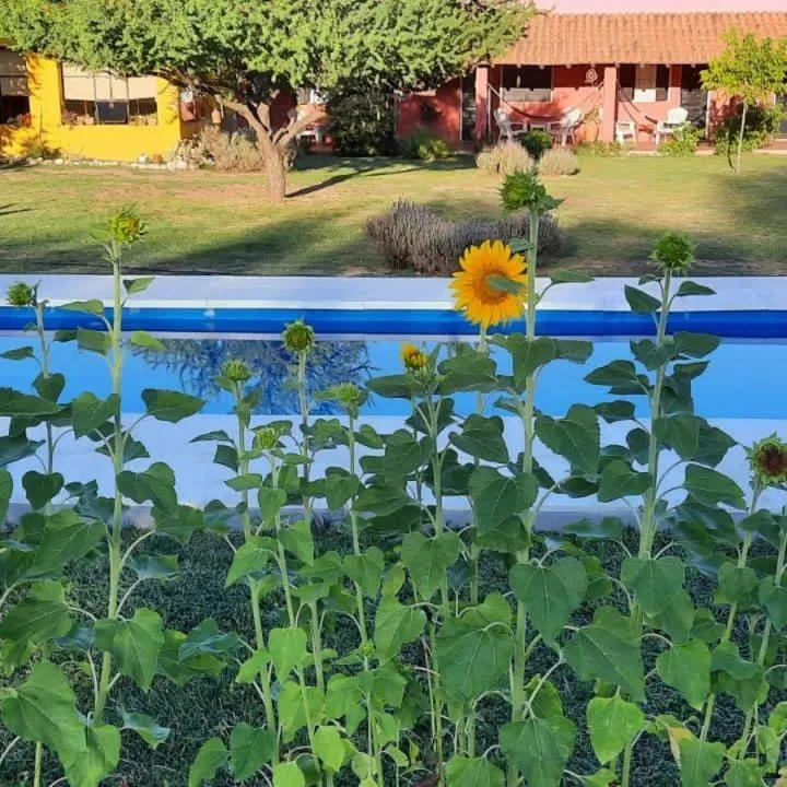 Garden view in Posada Villapancha B&B