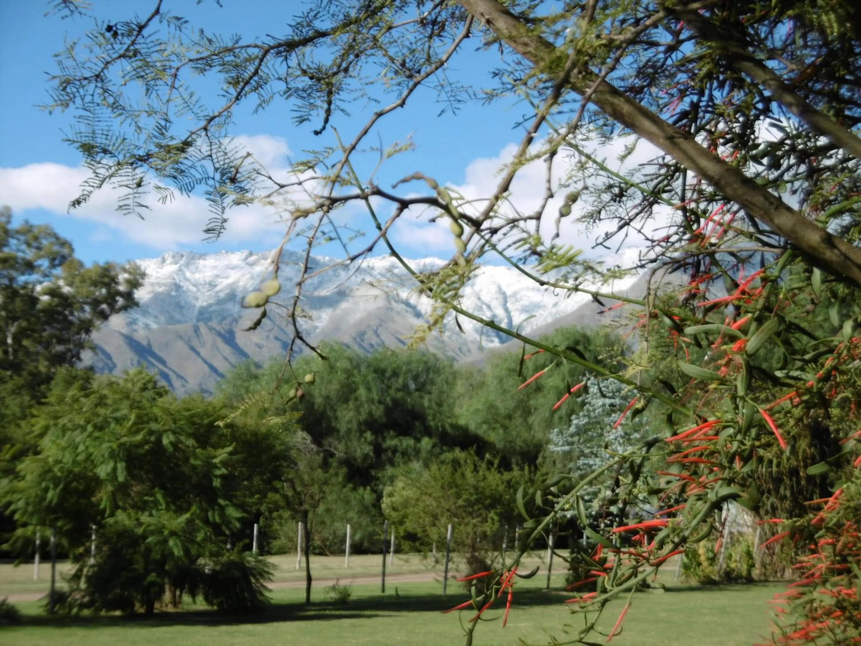 Day in Posada Villapancha B&B