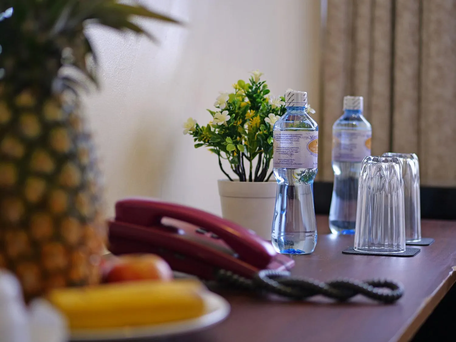 Drinks in HOTEL CENTRAL PARK & CONFERENCE CENTRE