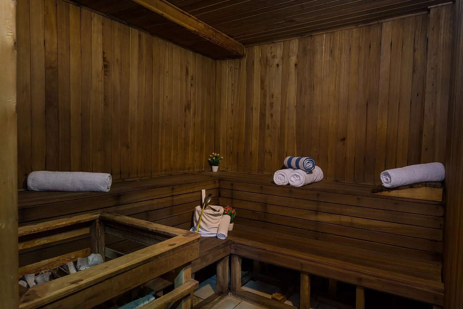 Sauna in HOTEL CENTRAL PARK & CONFERENCE CENTRE