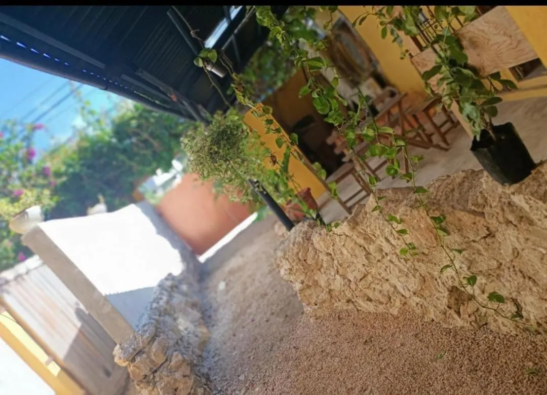 Property building in Casa Abanico Tulum